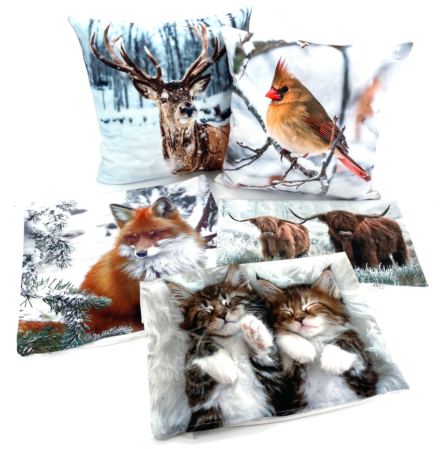 Weckbrodt Coussin décoratif »Büffel« Kissenhülle ohne Füllung, 1 Stück