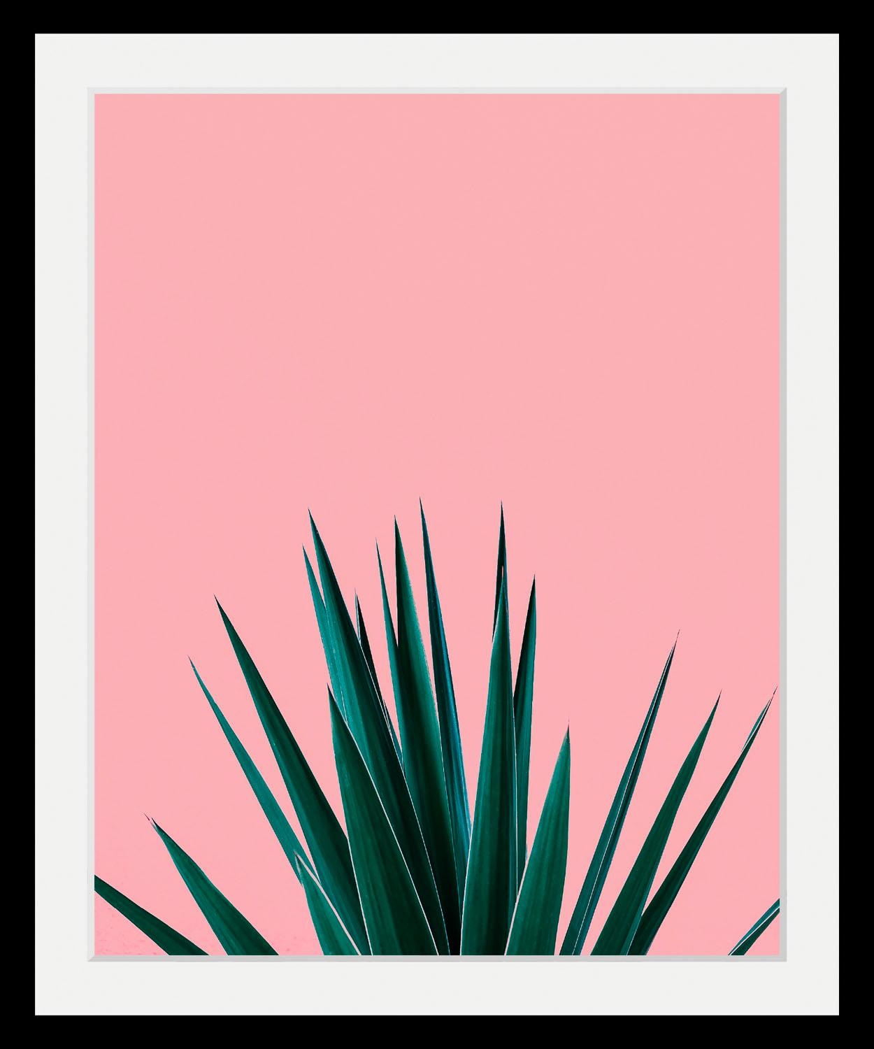 Image of queence Bild "Palme" Foto Kunst Pflanzen Pflanzenbilder Stechpalme HD Premium Poster-Druck inkl. Holzrahmen