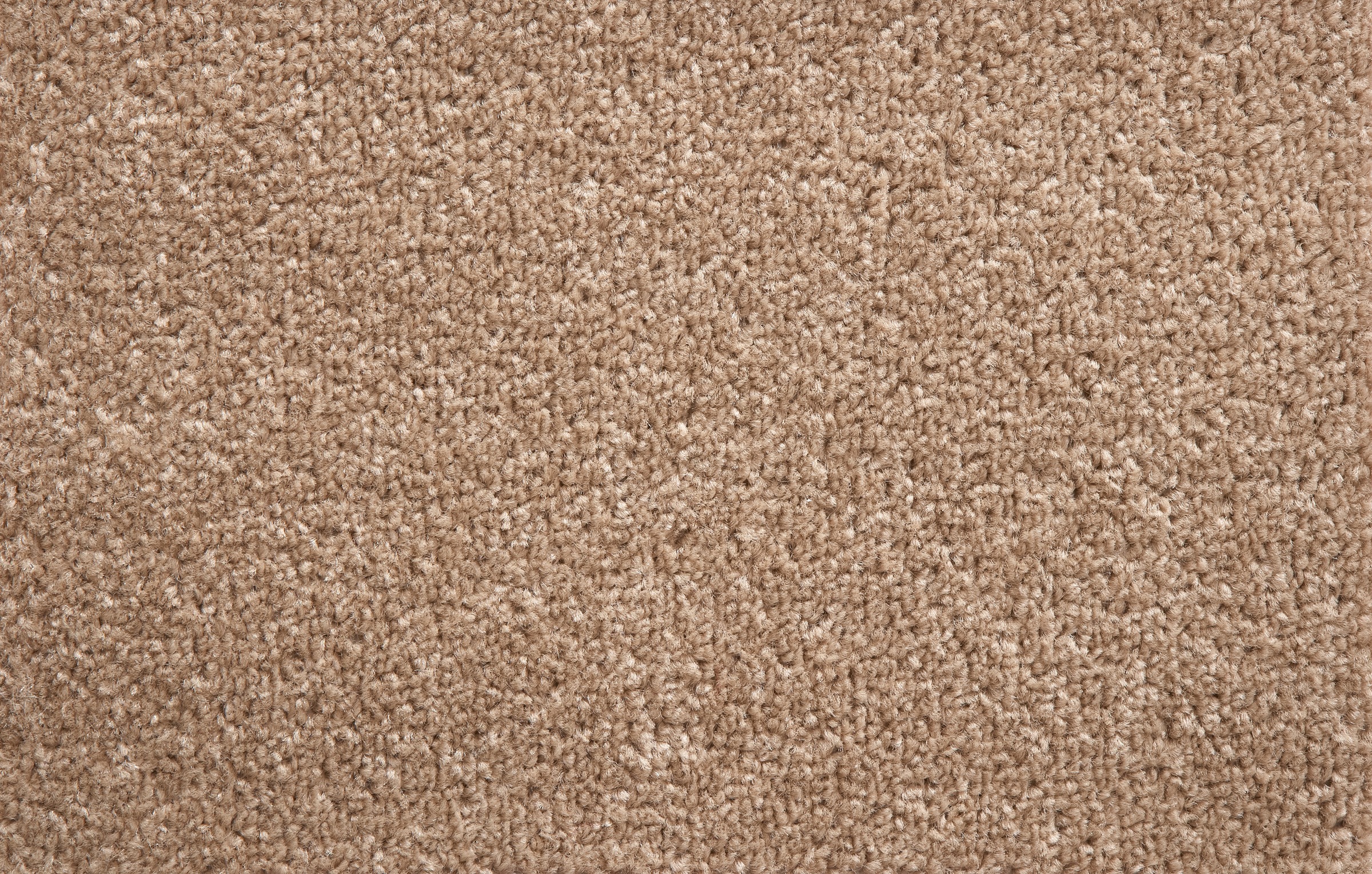 Image of Andiamo Teppichboden »Ines«, rechteckig, 8,5 mm Höhe, Meterware, Breite 400 cm, Kräuselvelours, Uni Farben, weicher Flor, antistatisch, pflegeleicht, trittschalldämmend, Wohnzimmer bei Ackermann Versand Schweiz