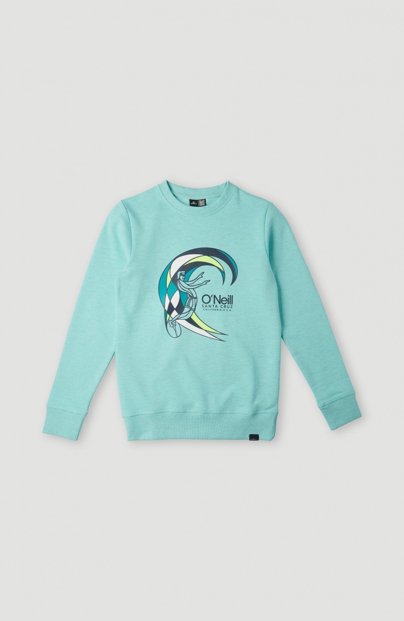 Image of O'Neill Sweatshirt »CIRCLE SURFER MULTI CREW SWEATSHIRT« bei Ackermann Versand Schweiz