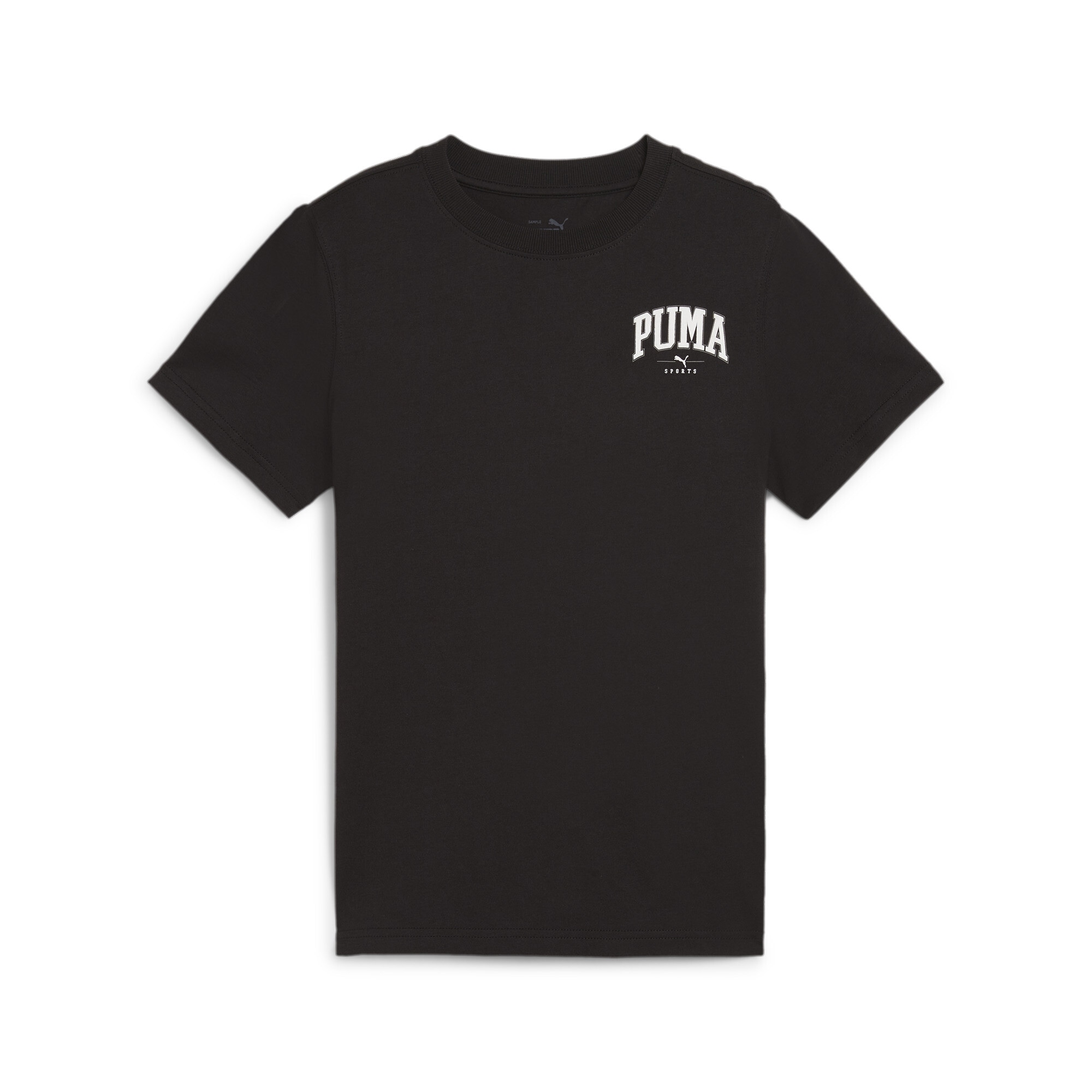 PUMA T-Shirt »SQUAD SMALL GRAPHIC TEE B«