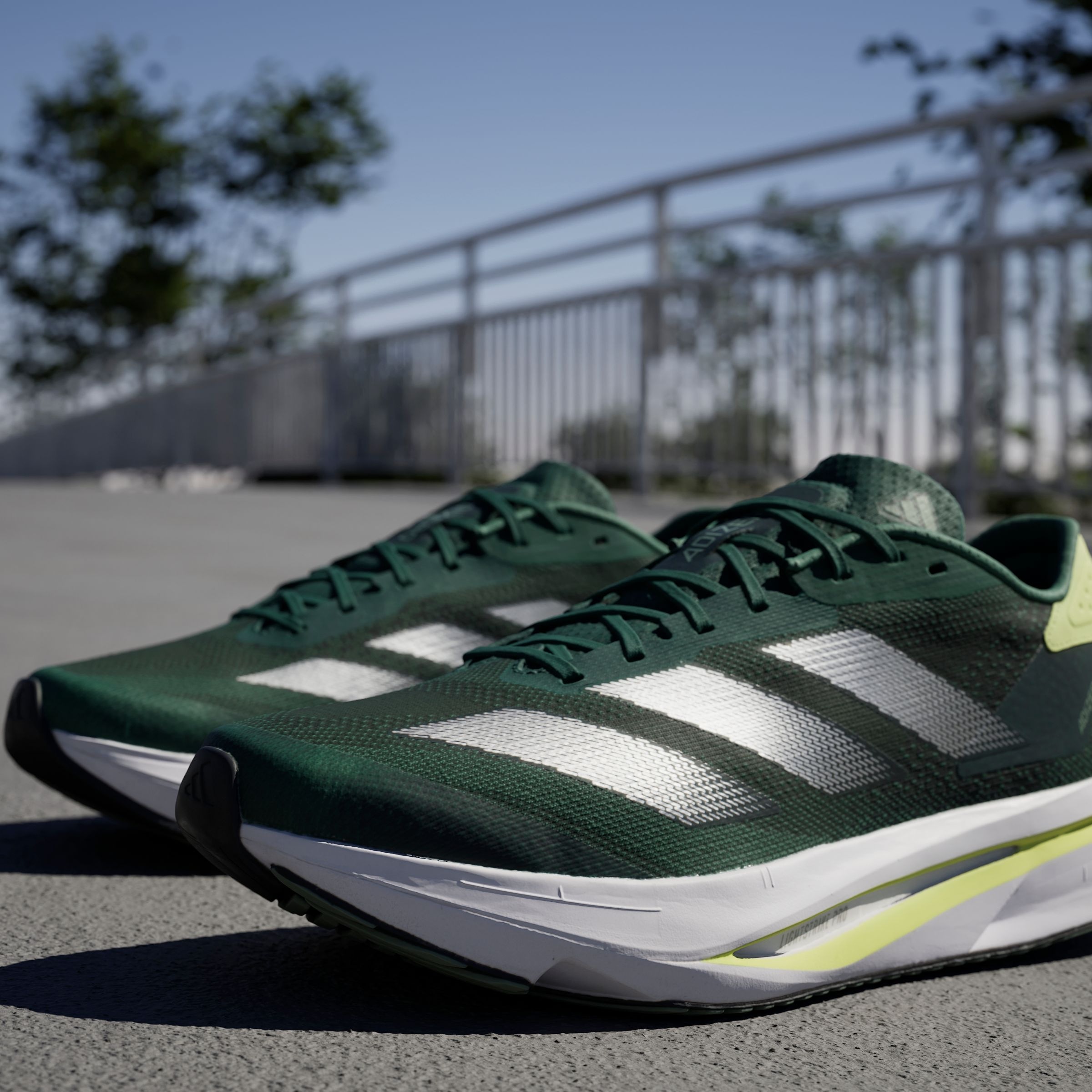 adidas Performance Laufschuh »ADIZERO SL2«