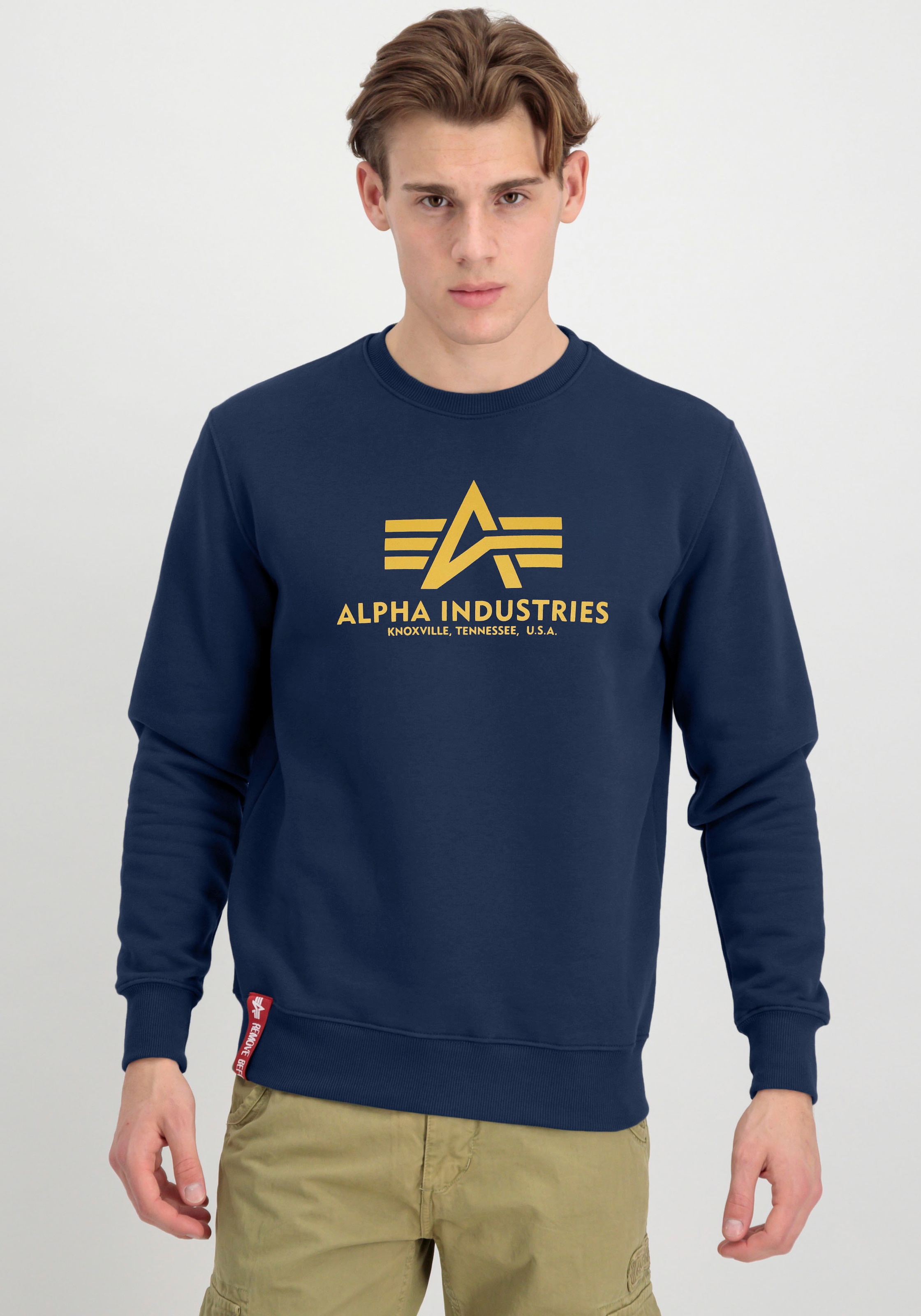Alpha Industries Sweatshirt »Basic Sweater«, Baumwollmischung, regular fit
