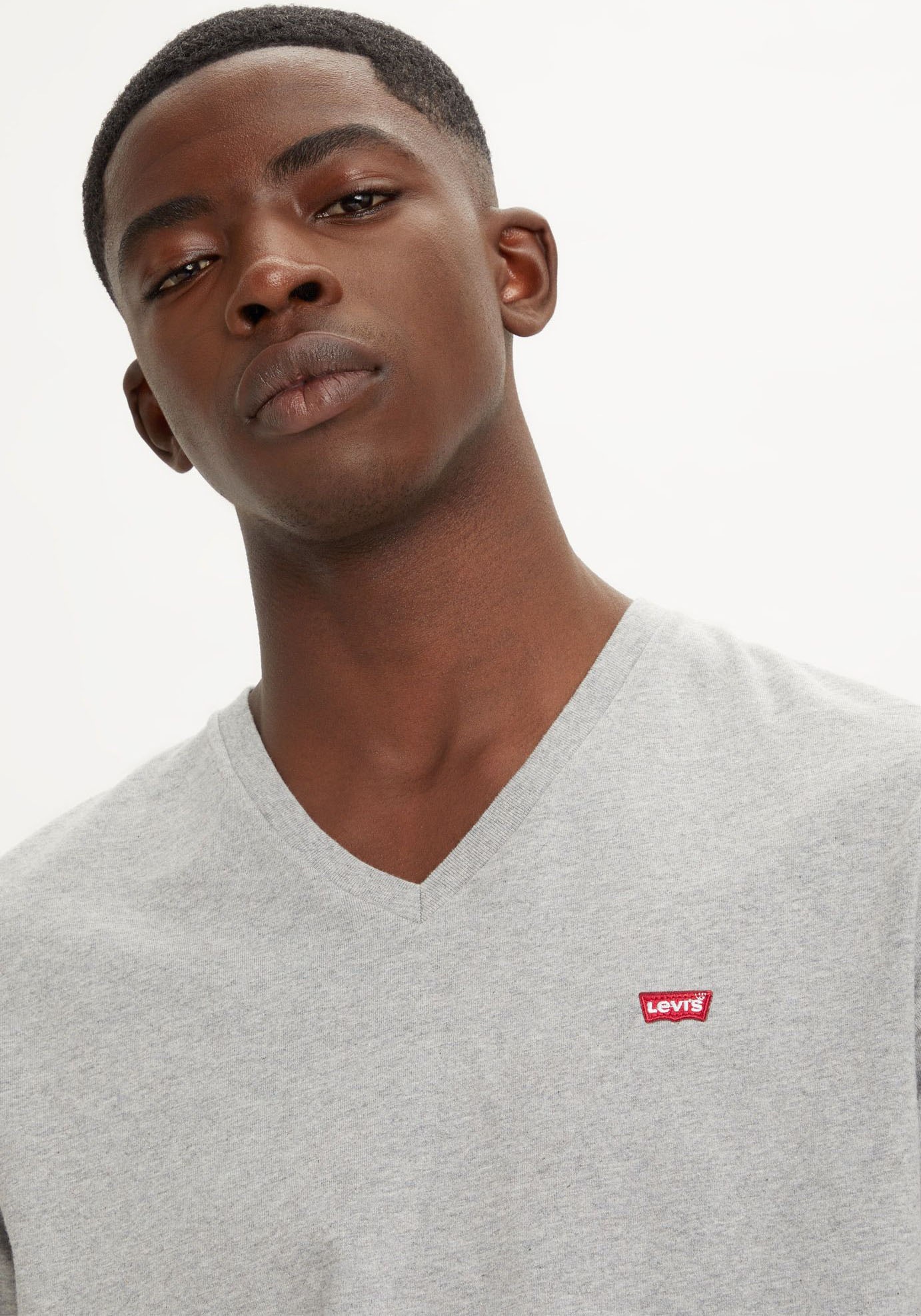 Levi's® V-Shirt »LE ORIGINAL HM VNECK«, mit Logostickerei