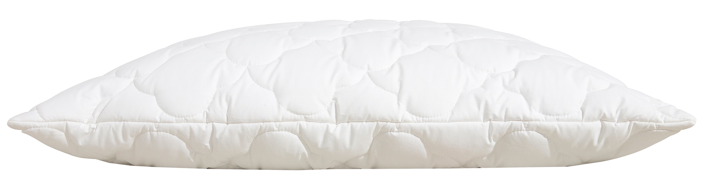 Beco Kopfkissen »EcoWell«, Füllung: Polyester, Bezug: Bio-Baumwolle oder Microfaser-Feinbatist samtweich, (1 St.), Kissen in den Grössen 40x80 cm und 80x80 cm erhältlich!