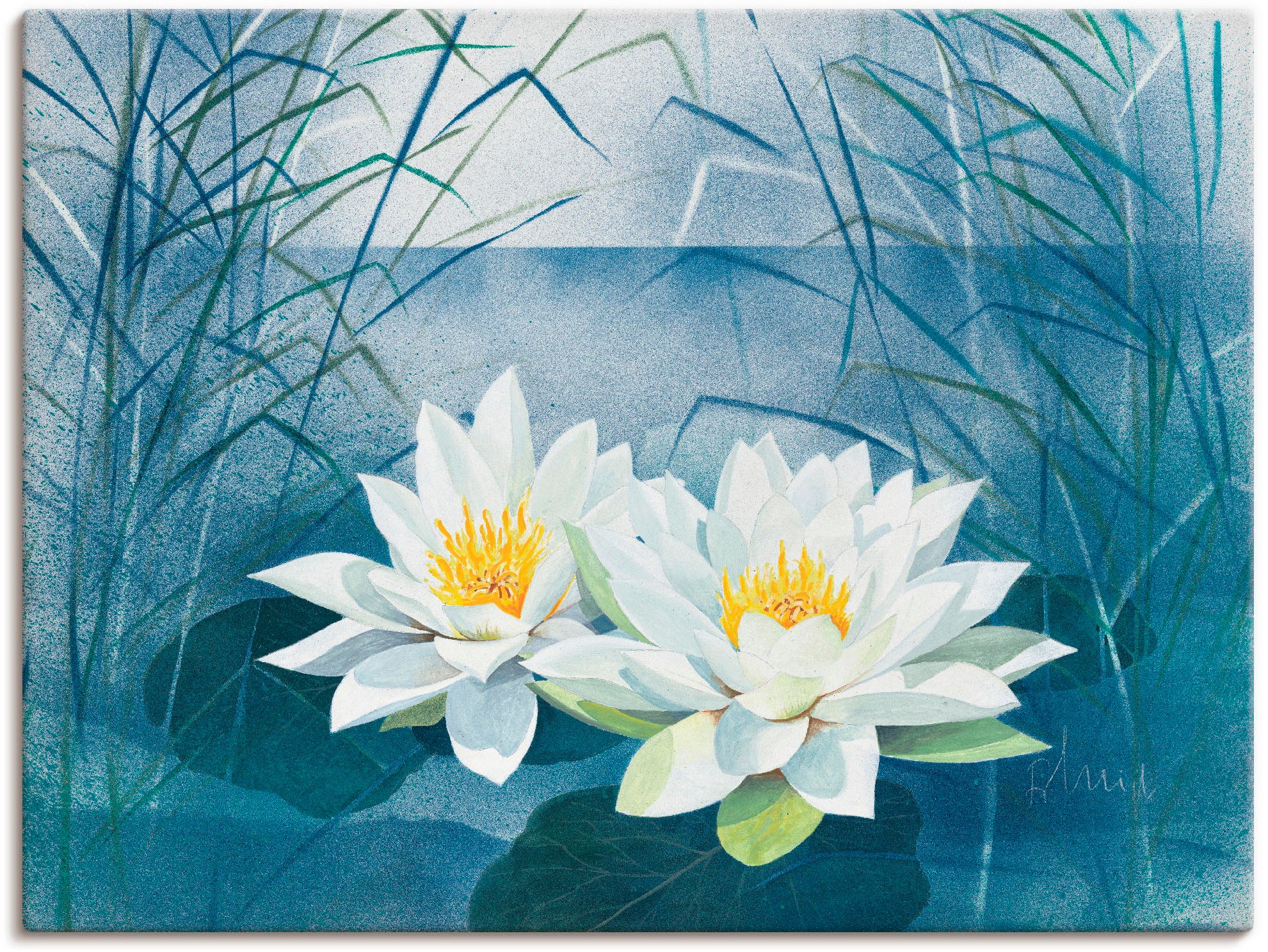 Image of Artland Wandbild »Seerosenpaar«, Blumen, (1 St.), in vielen Grössen & Produktarten -Leinwandbild, Poster, Wandaufkleber / Wandtattoo auch für Badezimmer geeignet bei Ackermann Versand Schweiz