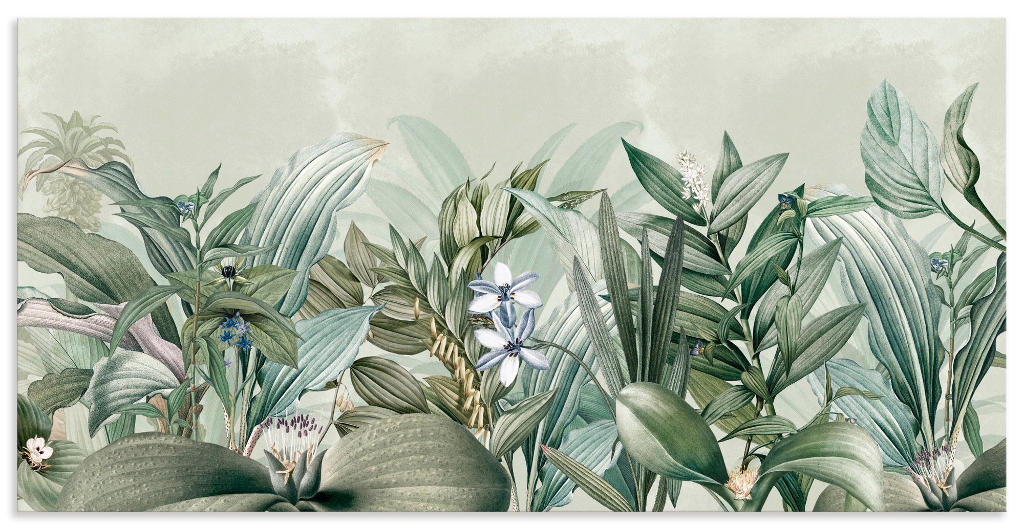 Image of Artland Wandbild "Exotischer Floral Garten Landschaft" Blumenwiese 1 Stk. tlg. als Alubild, Leinwandbild, Poster, Wandaufkleber in verschied. Grössen
