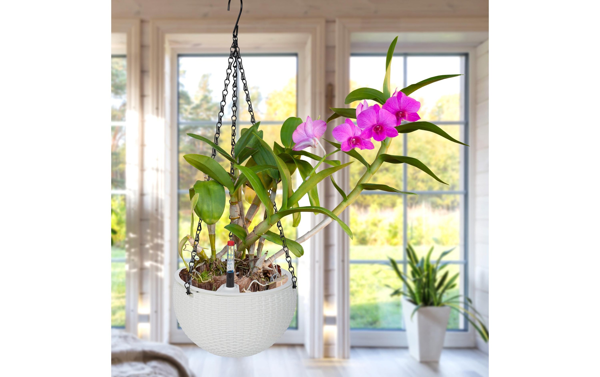 Image of relaxdays Blumenampel "mit Wasserspeicher 2er Set 18,5 x 11,5 cm"