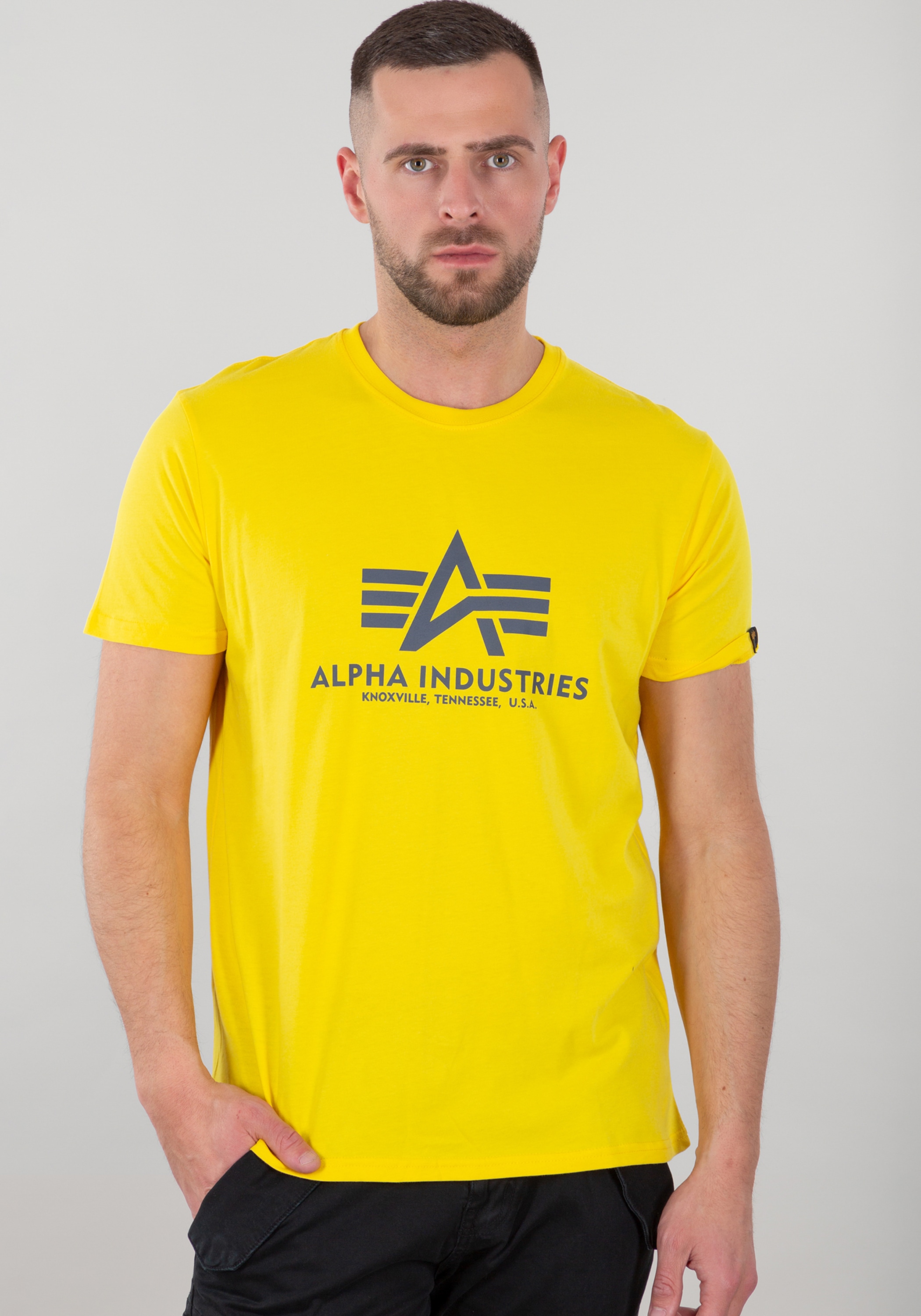 Alpha Industries T-Shirt »Alpha Industries Men - T-Shirts Basic T-Shirt«