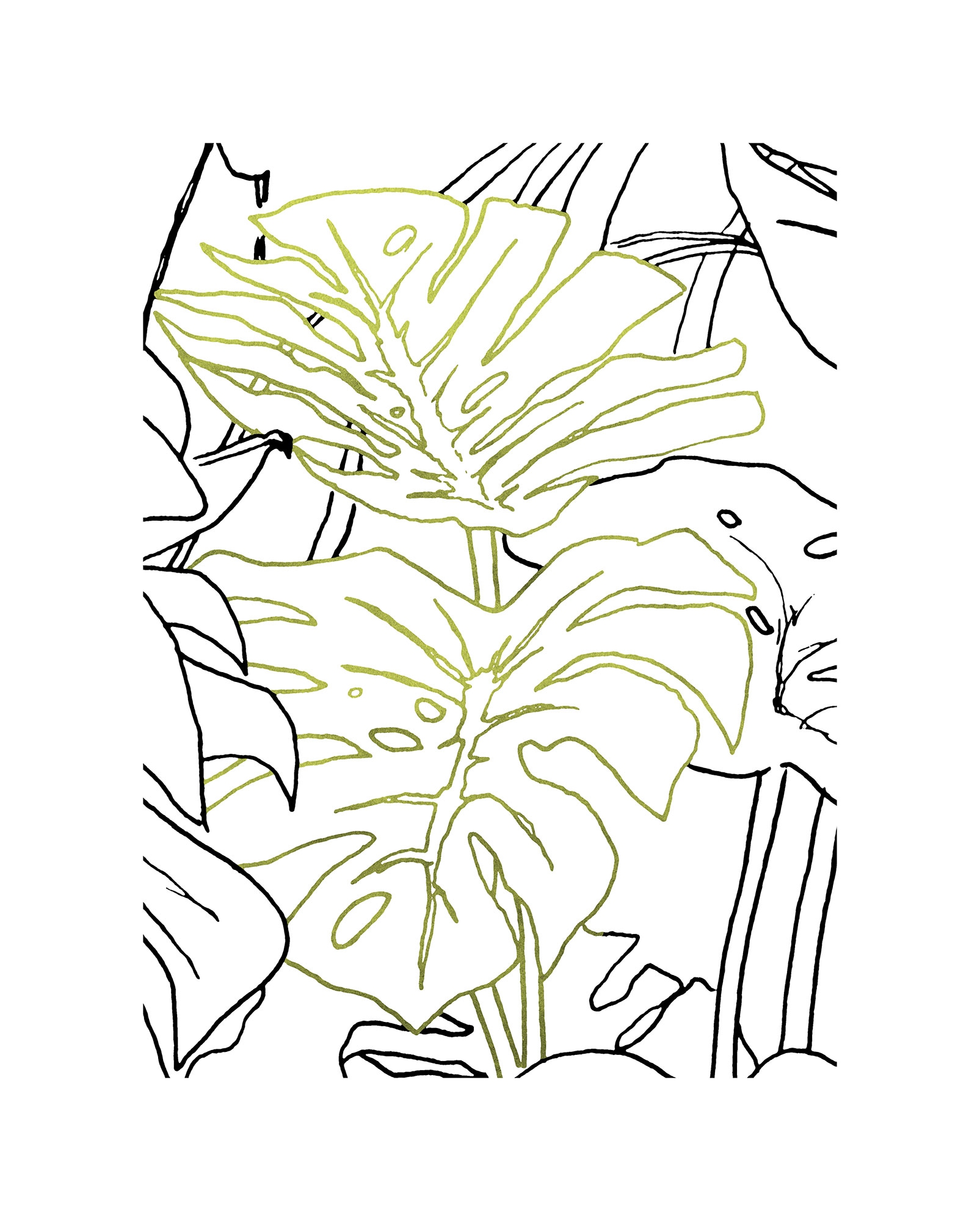 Image of Komar Bild "Monstera Borsigiana" Natur 1 Stk. tlg. Wandbild zur Dekoration - ohne Rahmen