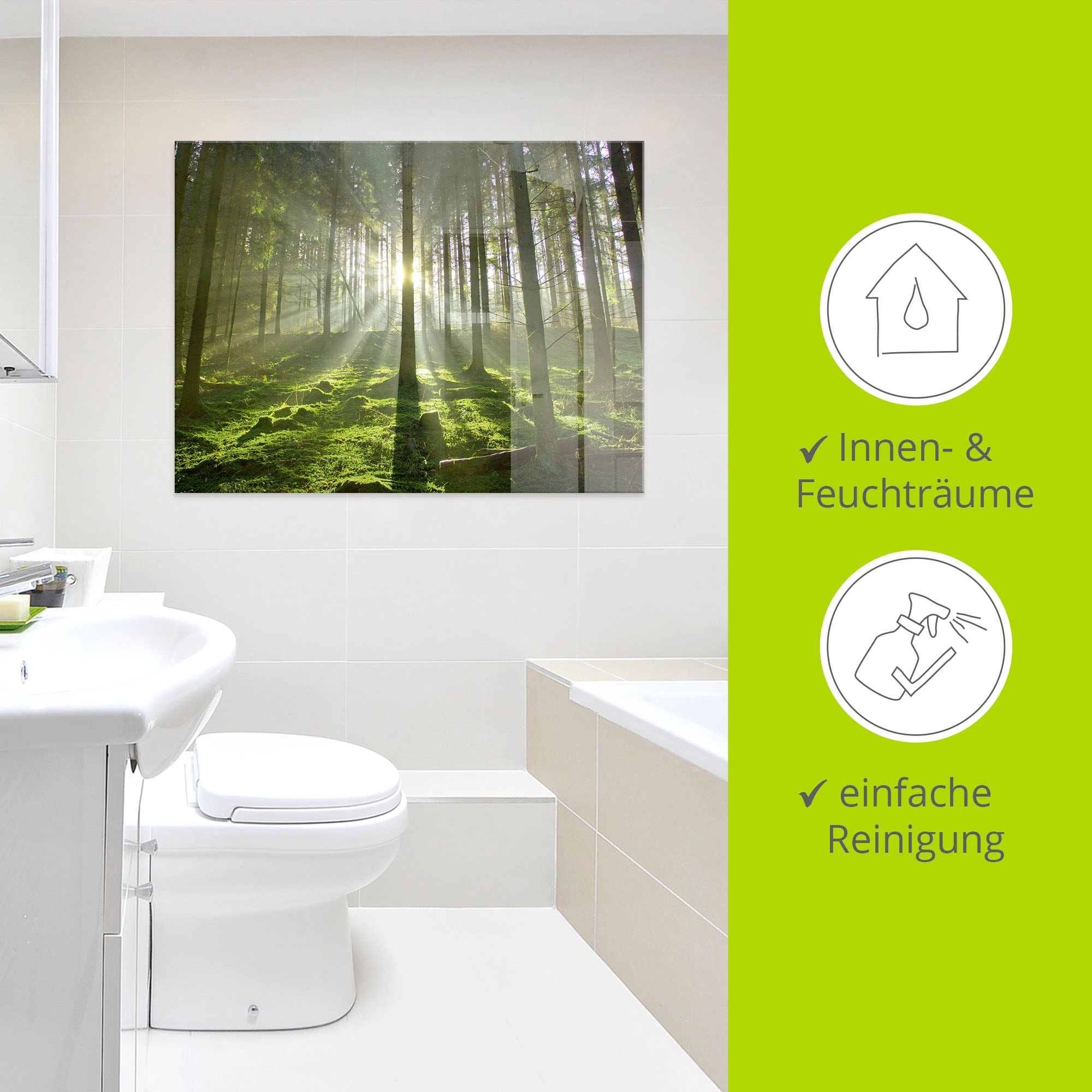 Artland Glasbild »Wald im Gegenlicht«, Wald, (1 St.), in verschiedenen Grössen