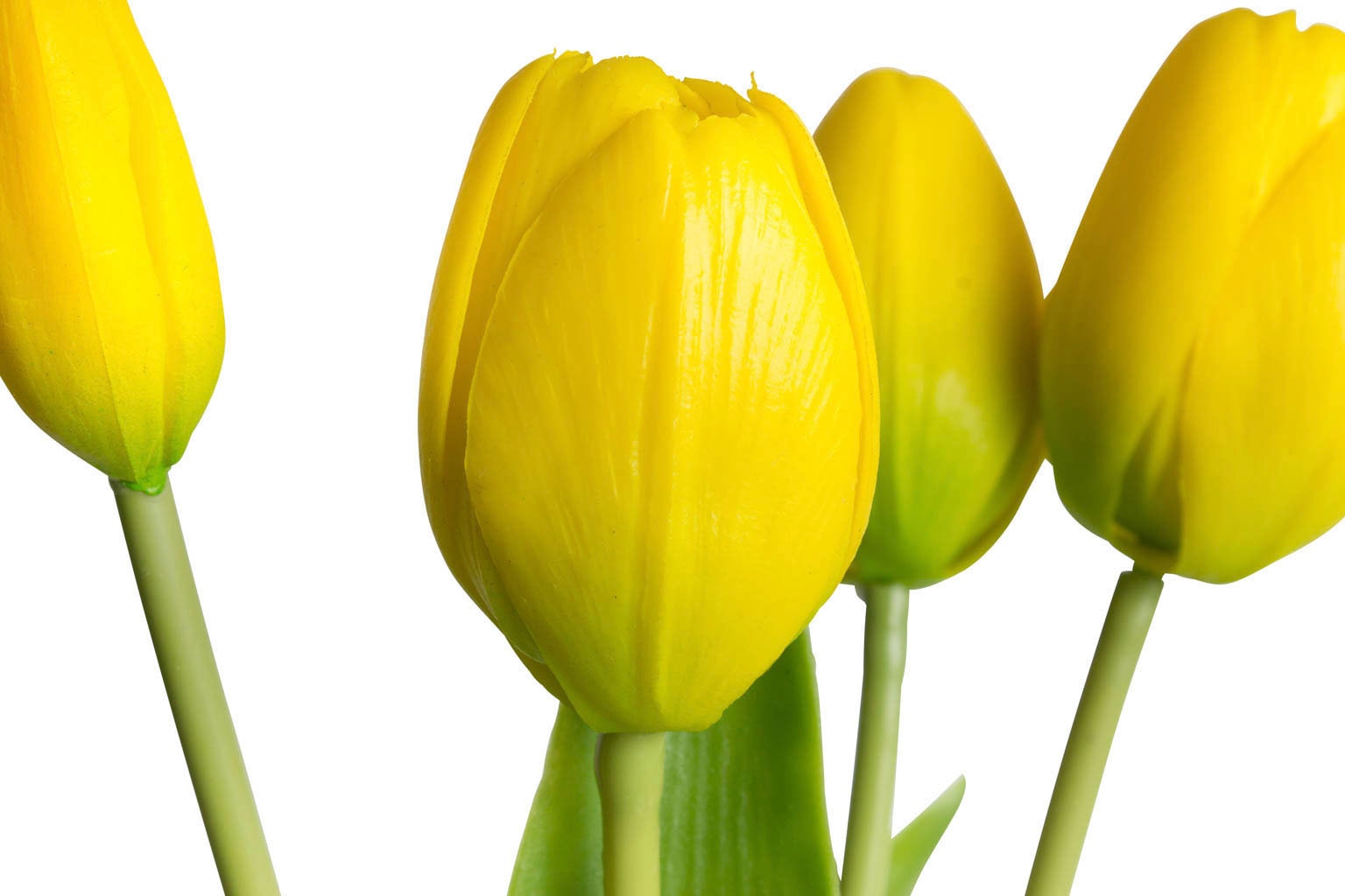 my home Kunstblume »Tulpenbündel Holland real Touch«