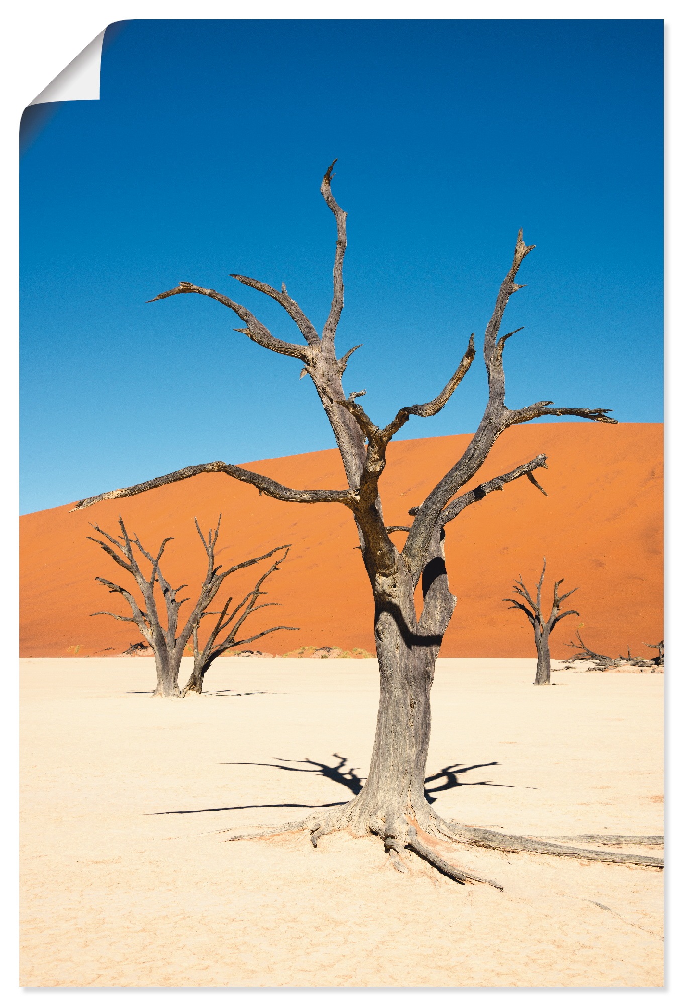 Image of Artland Wandbild »Abgestorbene Kameldornbäume II«, Wüste, (1 St.), in vielen Grössen & Produktarten - Alubild / Outdoorbild für den Aussenbereich, Leinwandbild, Poster, Wandaufkleber / Wandtattoo auch für Badezimmer geeignet bei Ackermann Versand Schweiz