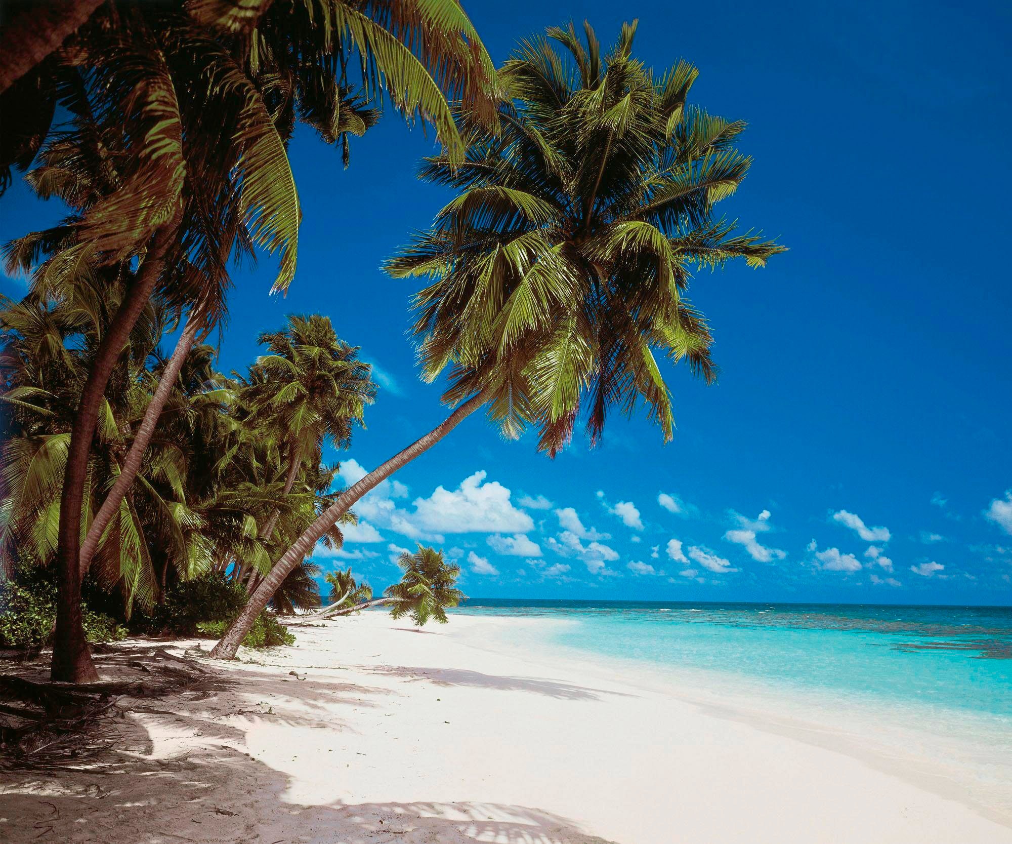 Image of Komar Vliestapete "Digitaldruck Vlies - Maldives - Grösse 300 x 250 cm" bedruckt glatt Wohnzimmer, Schlafzimmer