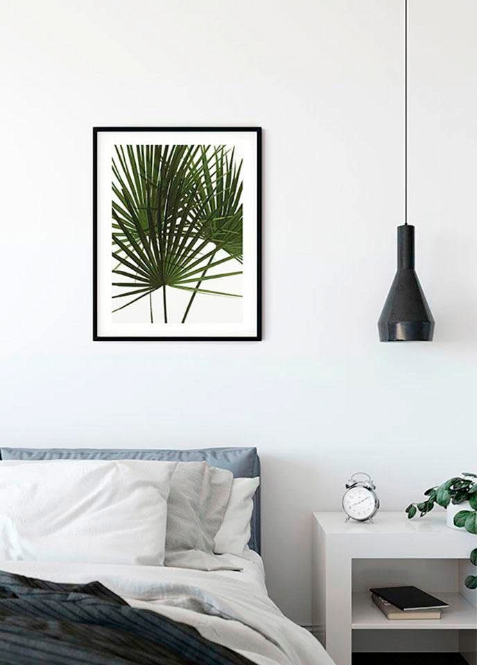 Komar Image »Palmtree Leaves« 1 cuis tlg. Wandbild zur Dekoration - ohne Rahmen