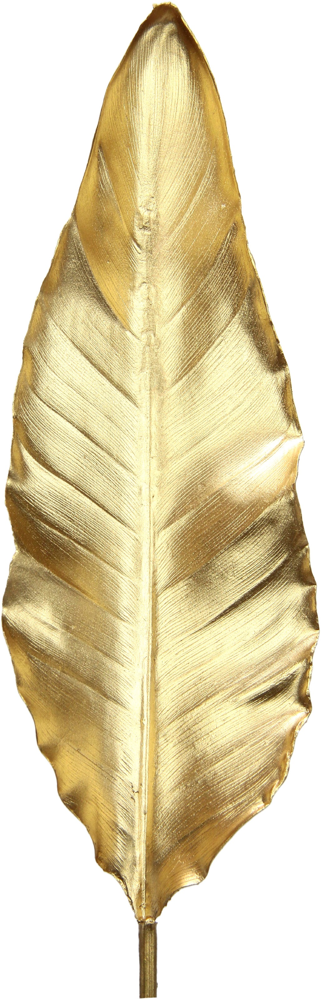 I.GE.A. Plante artificielle »Strelitzienblatt« Kunstzweig, 3er Set