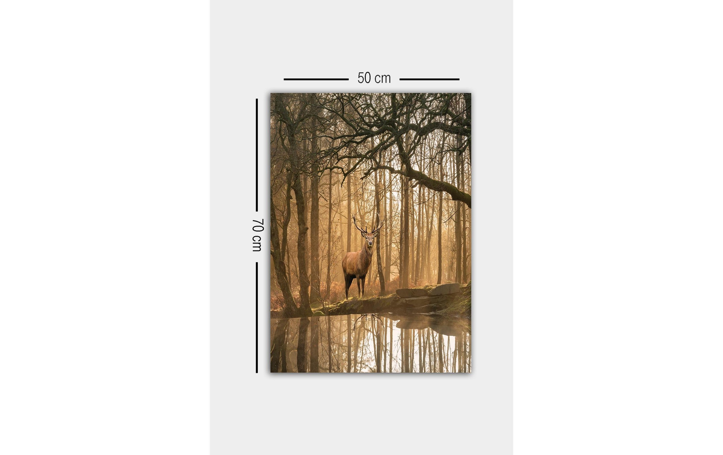 Wandbild »Wallxpert Hirsch«, Hirsch
