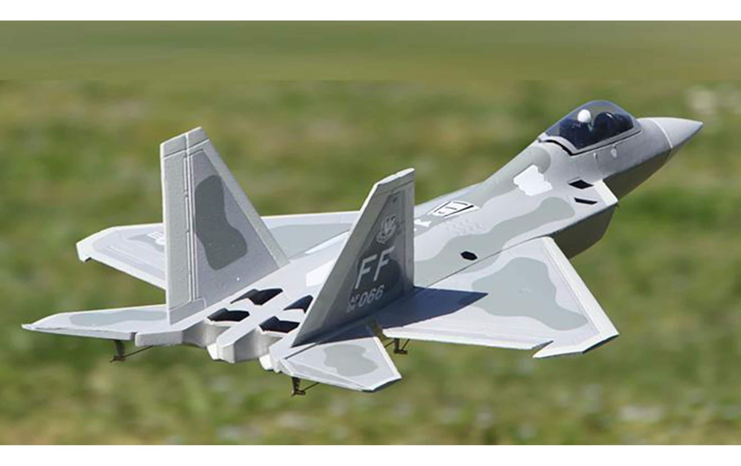 Amewi RC-Flugzeug »Jet F-22 Raptor 50«