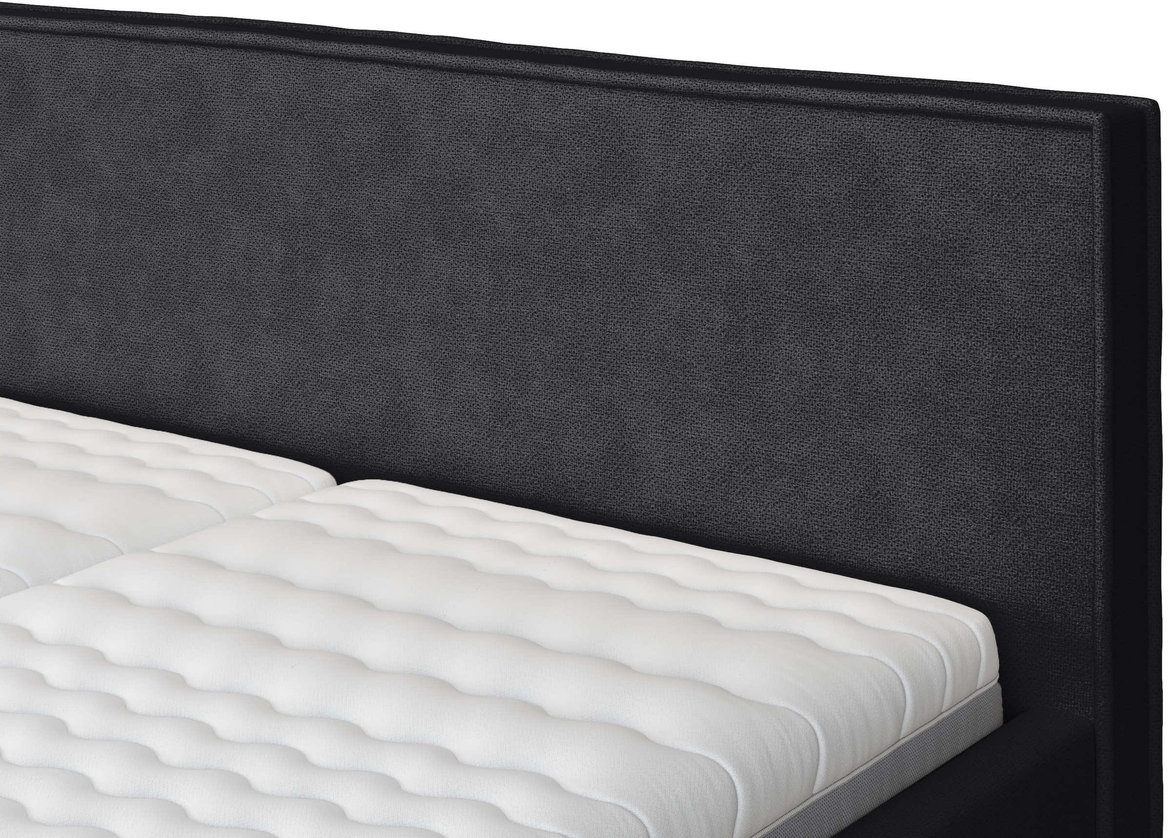 COTTA Polsterbett »MILLI I wahlweise mit Bettkasten« erhältlich in den Grössen 160x200cm & 180x200cm