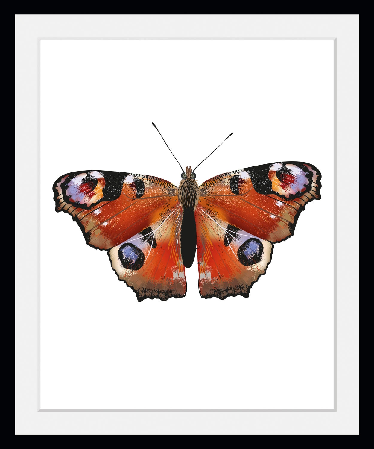 Image of queence Bild "Lena" Insekten Kunst Schmetterlinge historische Ereignisse 1 Stk. tlg. HD Premium Poster-Druck inkl. Holzrahmen