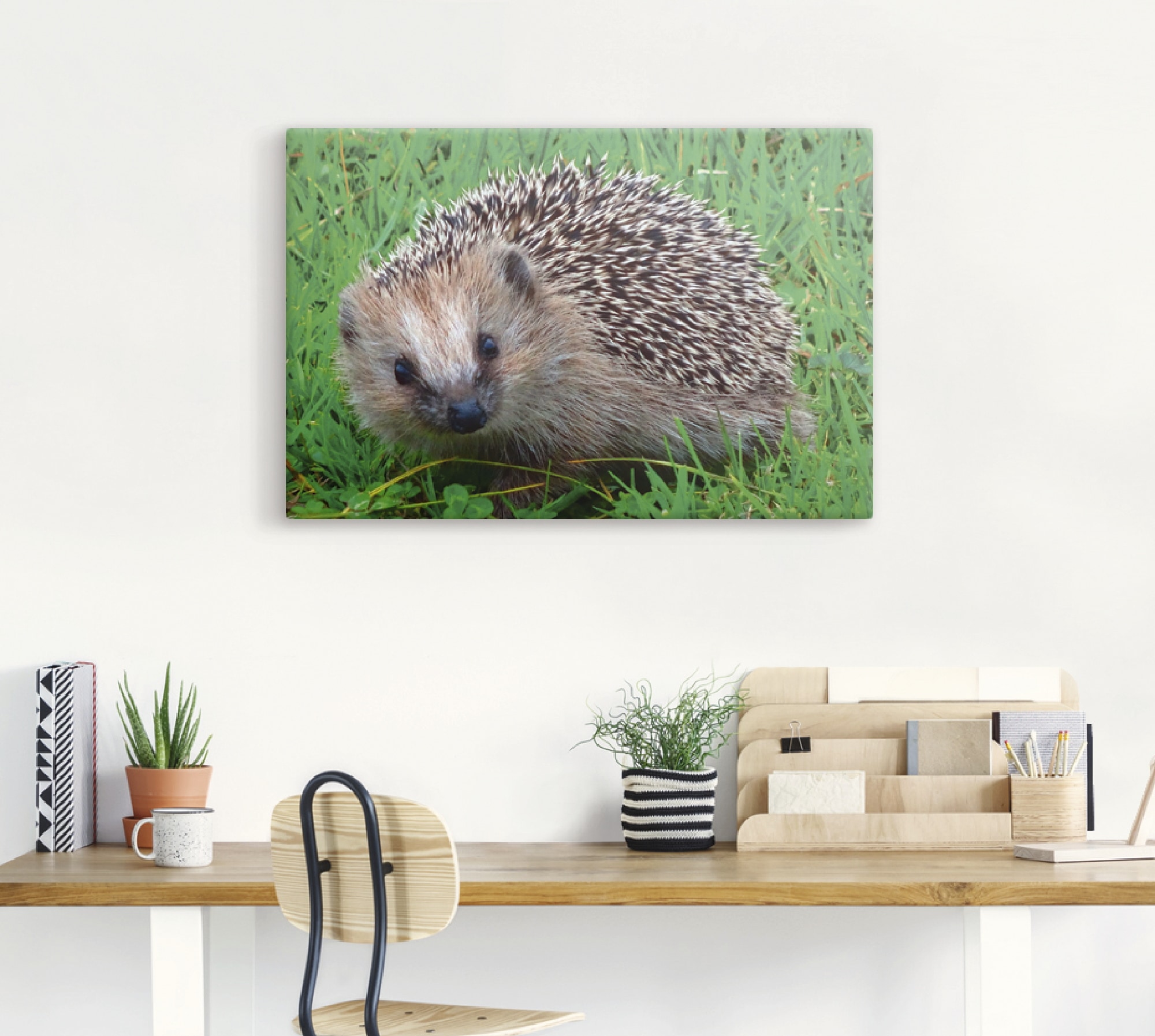 Artland Wandbild »Igel Blick«, als kaufen versch. Leinwandbild, (1 Grössen Poster jetzt oder Wandaufkleber in Alubild, Wildtiere, St.)