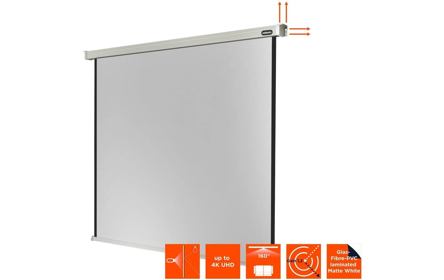 Celexon Motorleinwand »Motor Professional 240x240cm«