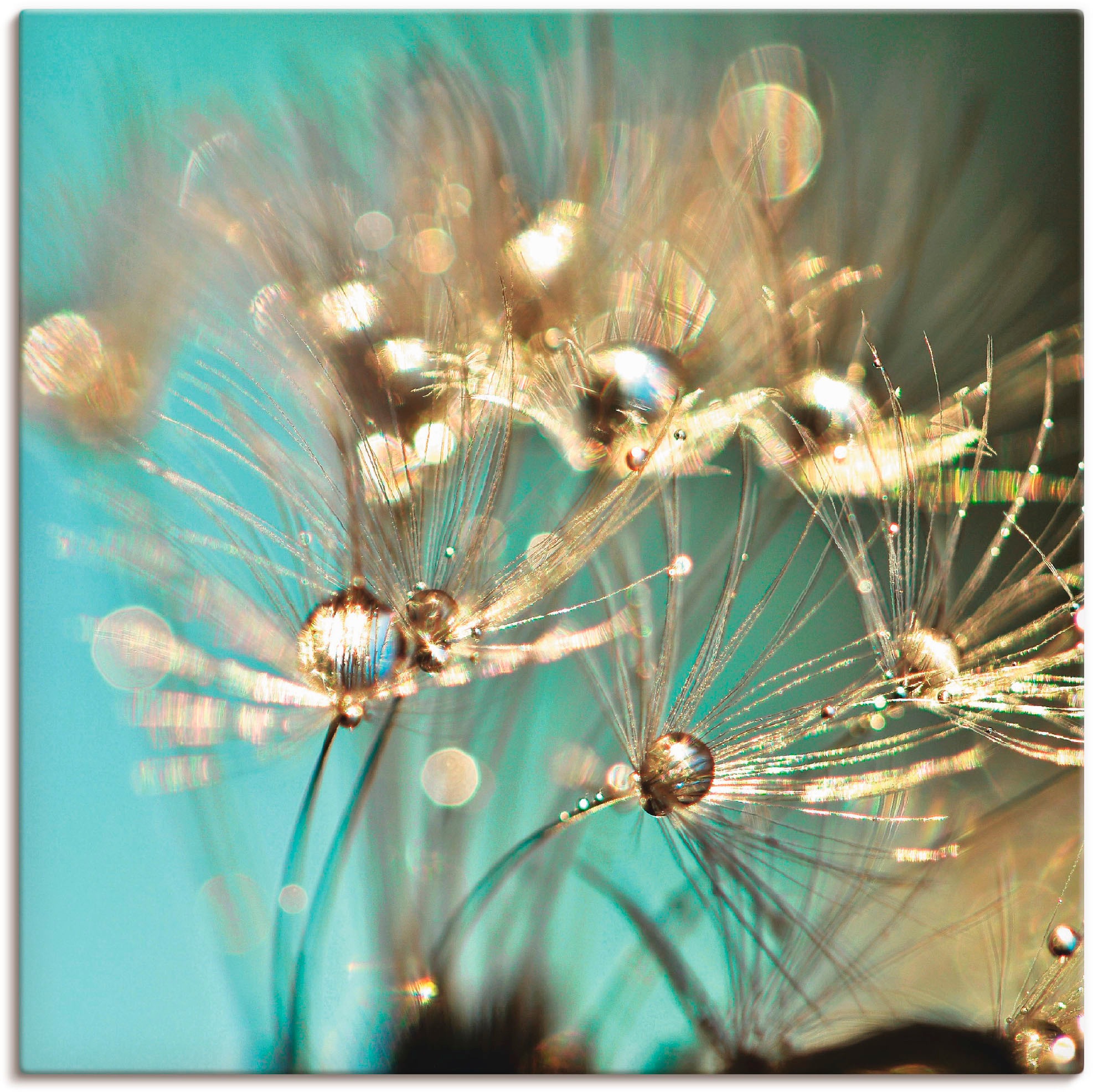 Image of Artland Wandbild »Pusteblume glänzendes Gold«, Blumen, (1 St.), in vielen Grössen & Produktarten - Alubild / Outdoorbild für den Aussenbereich, Leinwandbild, Poster, Wandaufkleber / Wandtattoo auch für Badezimmer geeignet bei Ackermann Versand Schweiz