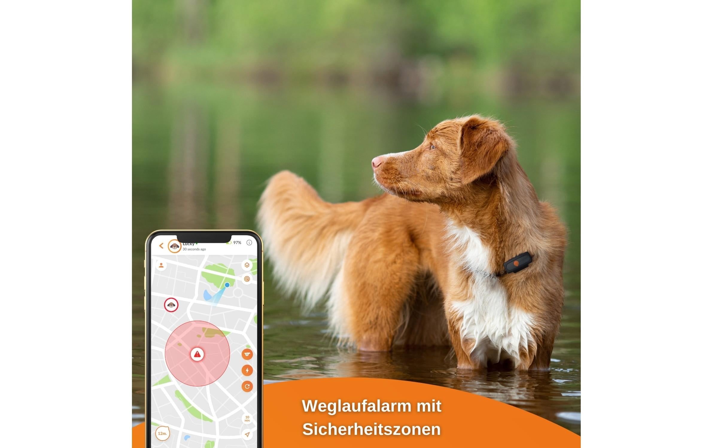 GPS-Tracker »Weenect XS für Hunde Schwarz«