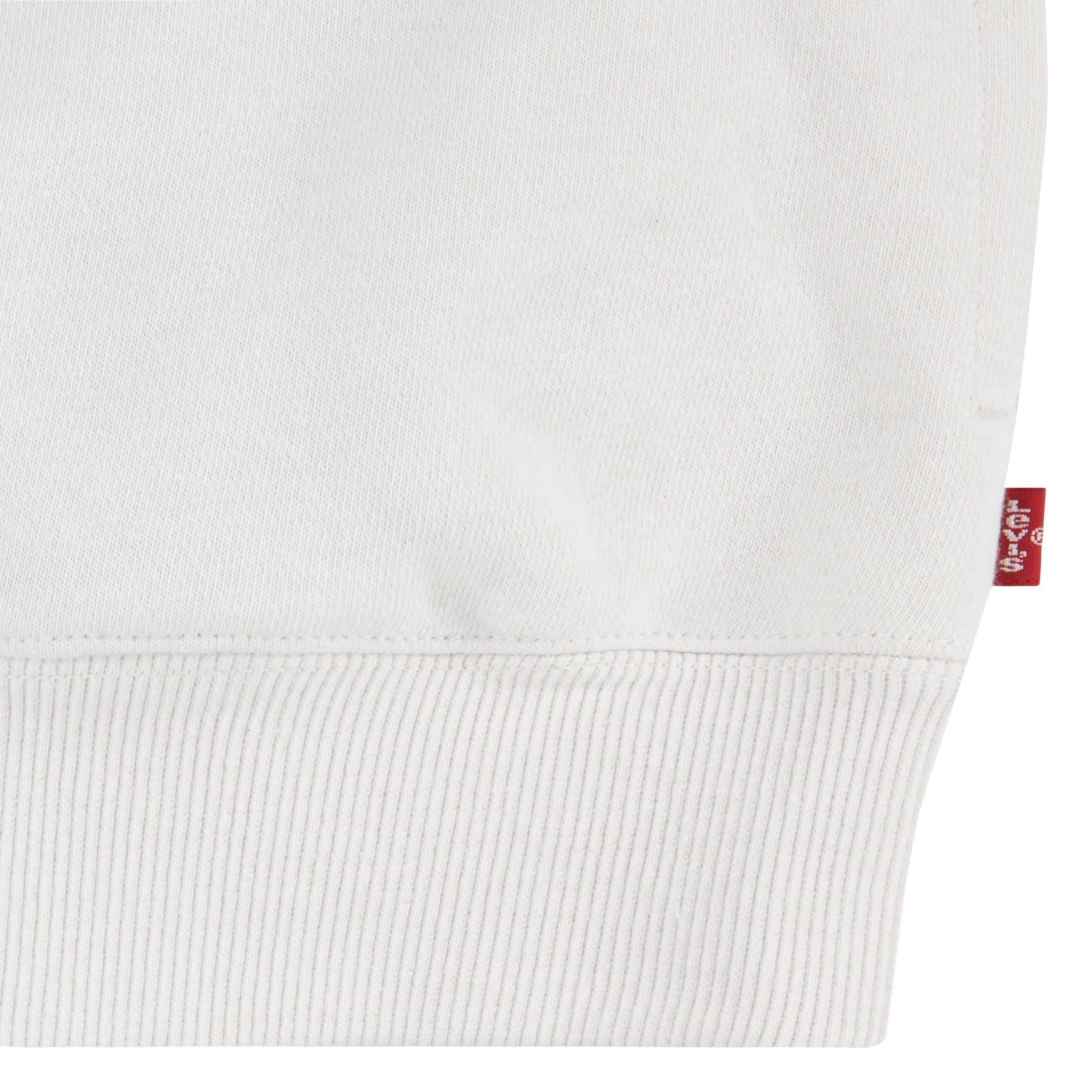 Levi's® Kids Hoodie, mit grossem Frontprint, for BOYS