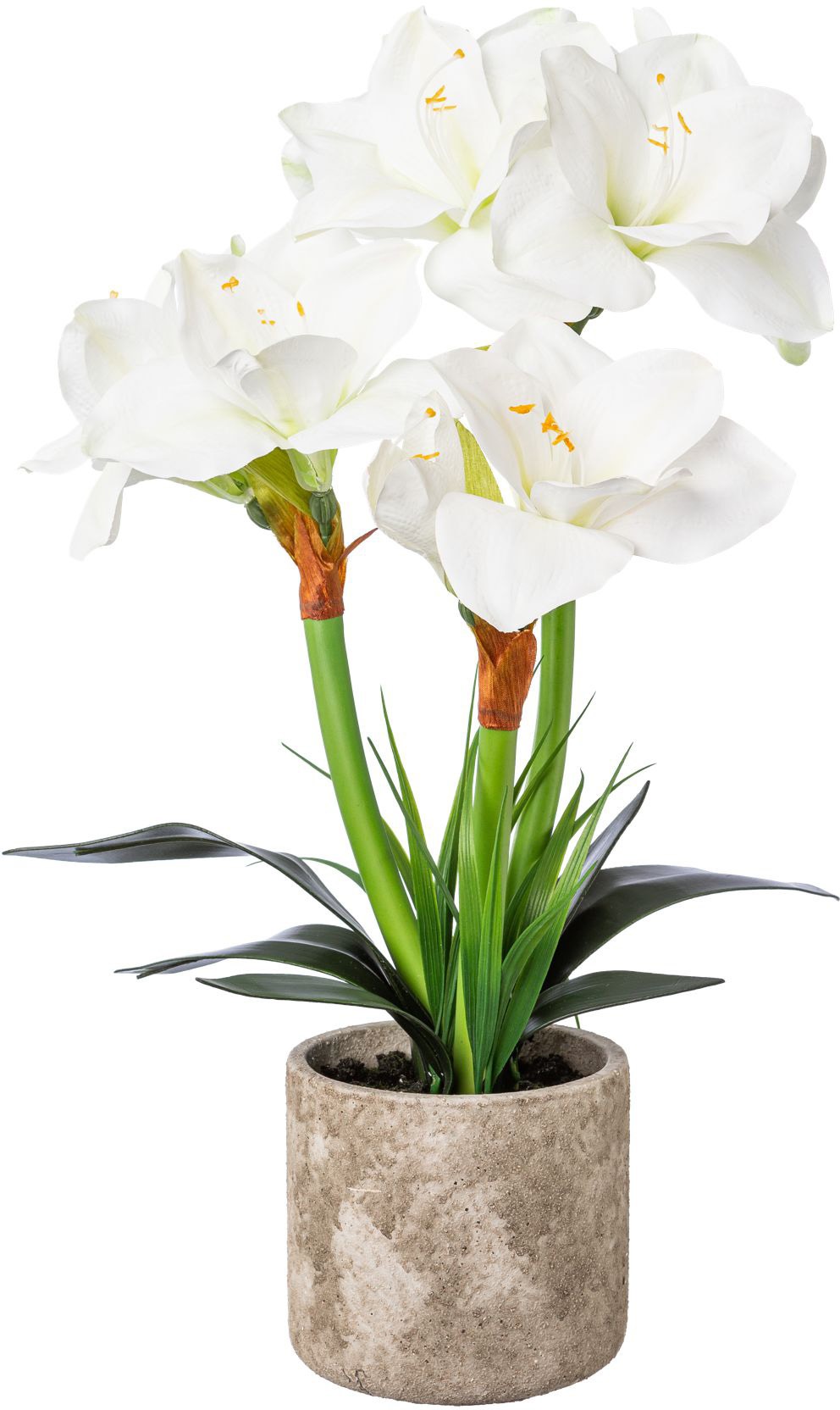 Image of Creativ deco Künstliche Zimmerpflanze bei Ackermann Versand Schweiz