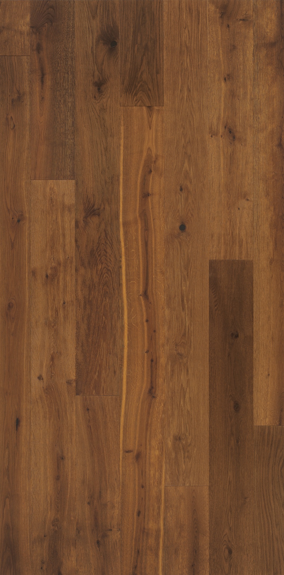 Image of PARADOR Parkett »Classic 3060 Living - Thermoeiche Medium«, (Packung), Klicksystem, 2200 x 185 mm, Stärke: 13 mm, 3,66 m² bei Ackermann Versand Schweiz