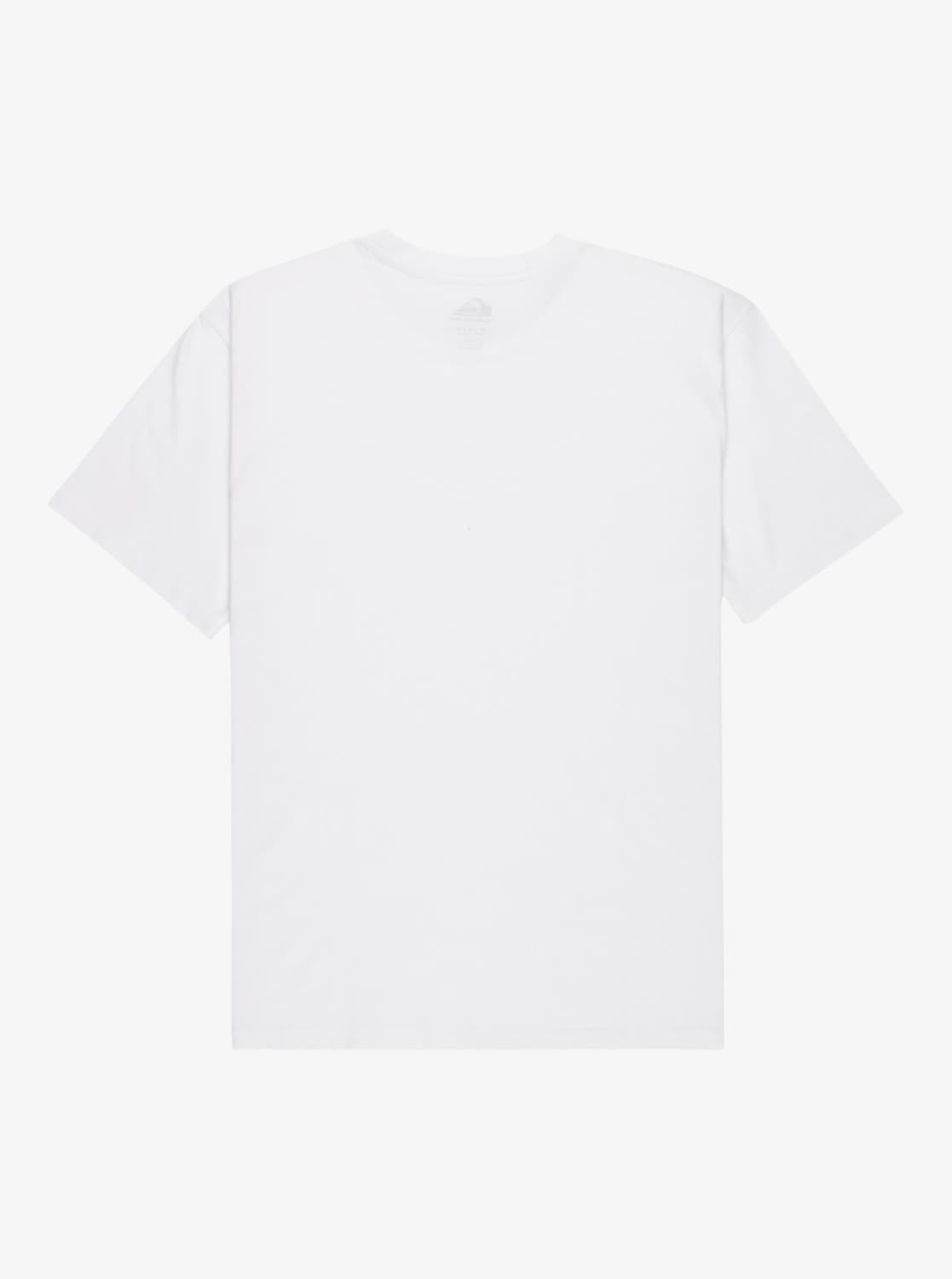 Quiksilver T-Shirt »BASIC SHORT SLEEVE TEE YOUNG MEN«