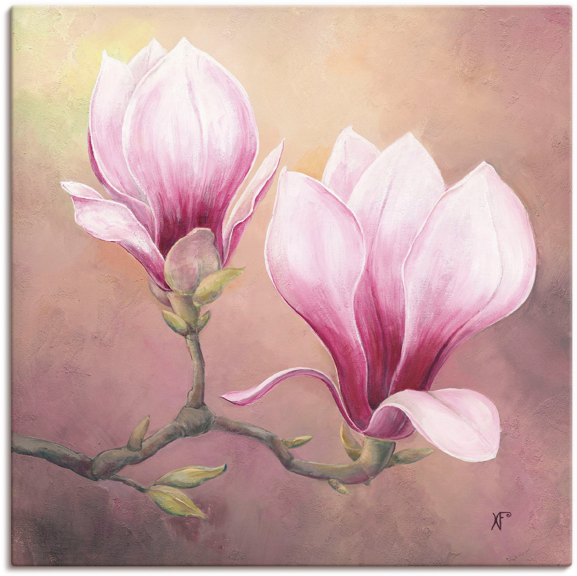 Image of Artland Leinwandbild "Späte Magnolie" Blumenbilder 1 Stk. tlg. auf Holzrahmen gespannt