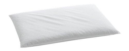 Image of billerbeck Naturkissen »Dinkelkissen ohne Bezug«, Füllung: 100% Dinkelspelz (Spreu), Bezug: 100% Baumwolle, (1 St.) bei Ackermann Versand Schweiz