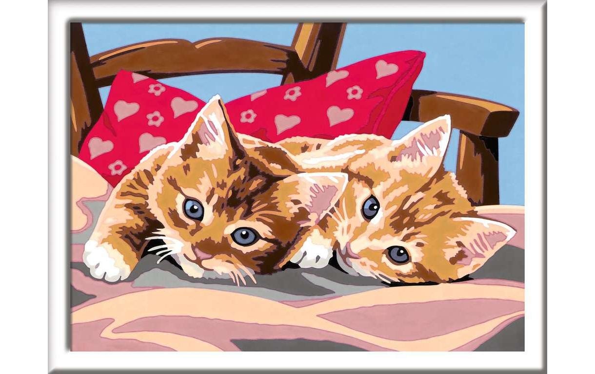 Ravensburger Malen nach Zahlen »MnZ Serie D Two Cuddly Cats«