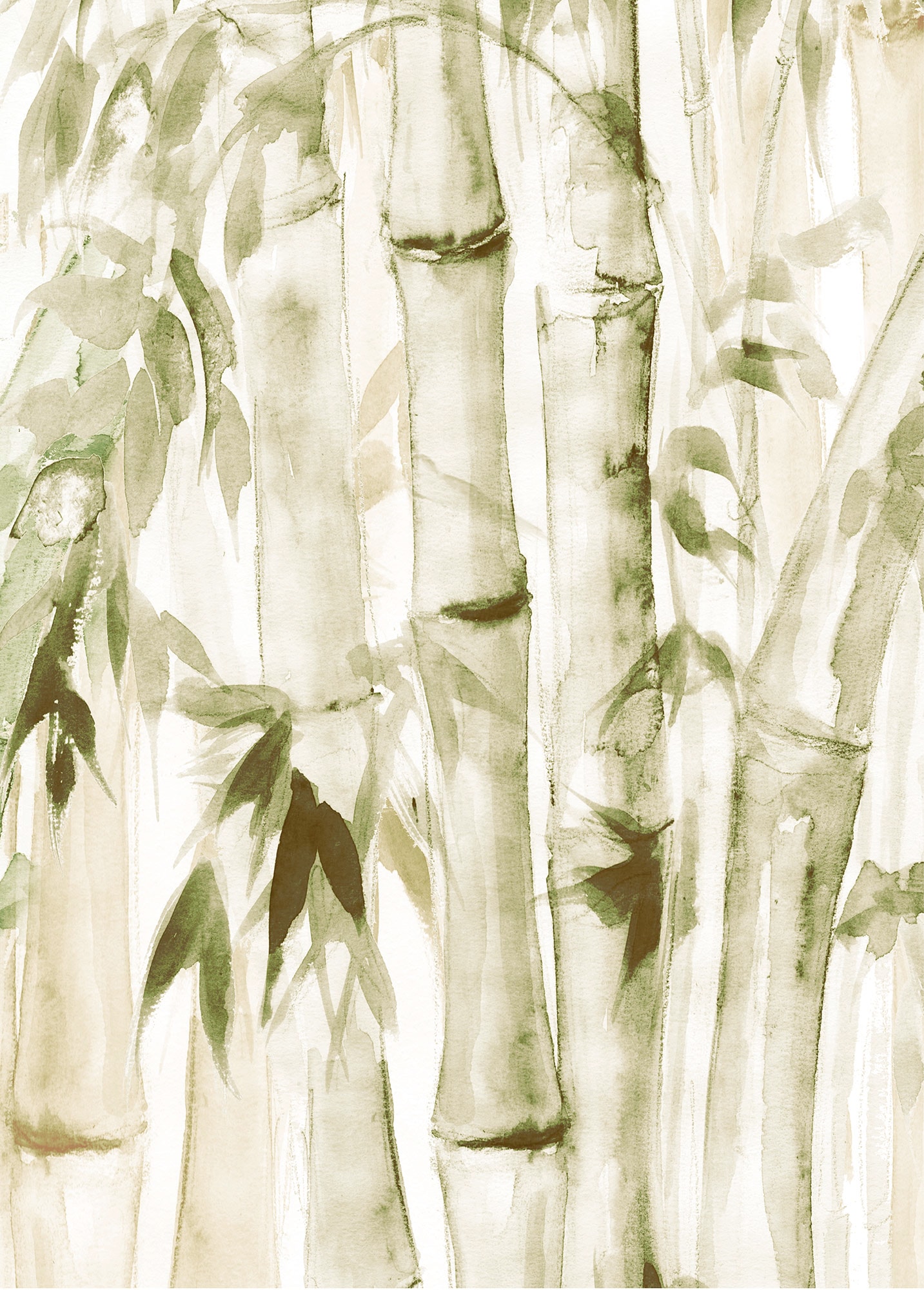 versandkostenfrei auf Komar Poster Bamboo«, (1 »Wild St.) ♕