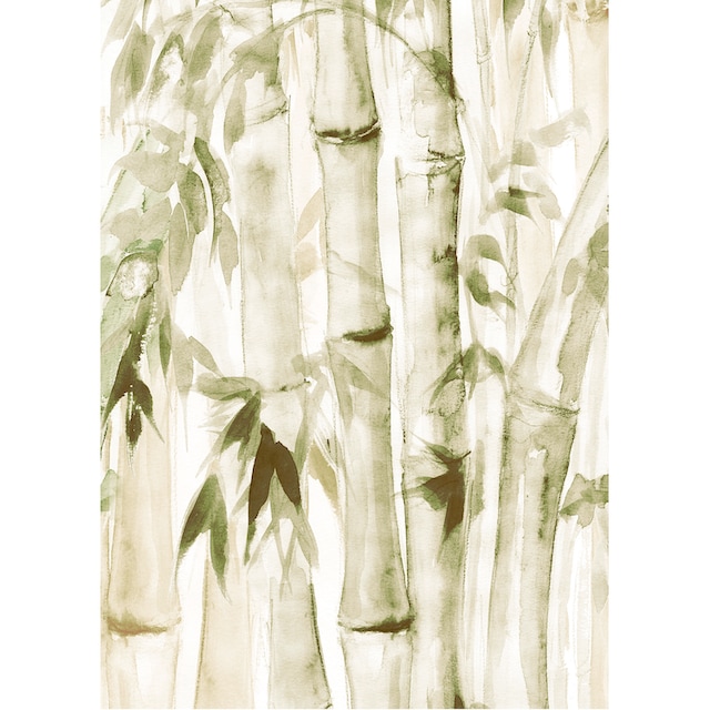 ♕ Komar Poster »Wild Bamboo«, (1 St.) versandkostenfrei auf