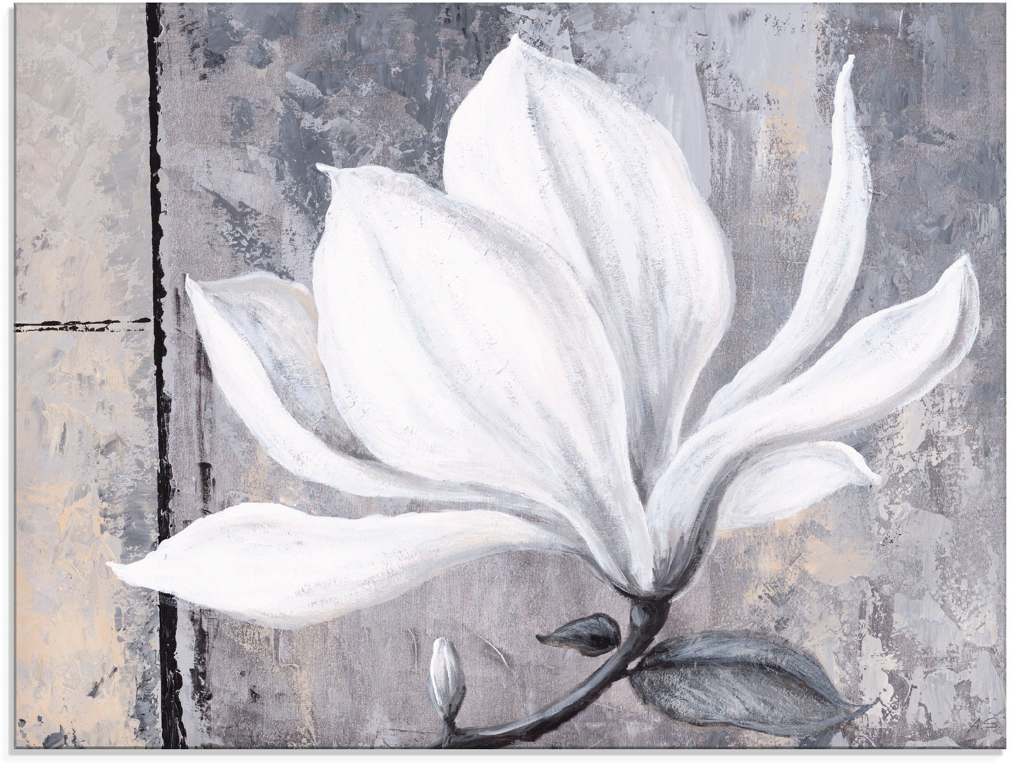 Image of Artland Glasbild "Klassische Magnolie" Blumen 1 Stk. tlg. in verschiedenen Grössen