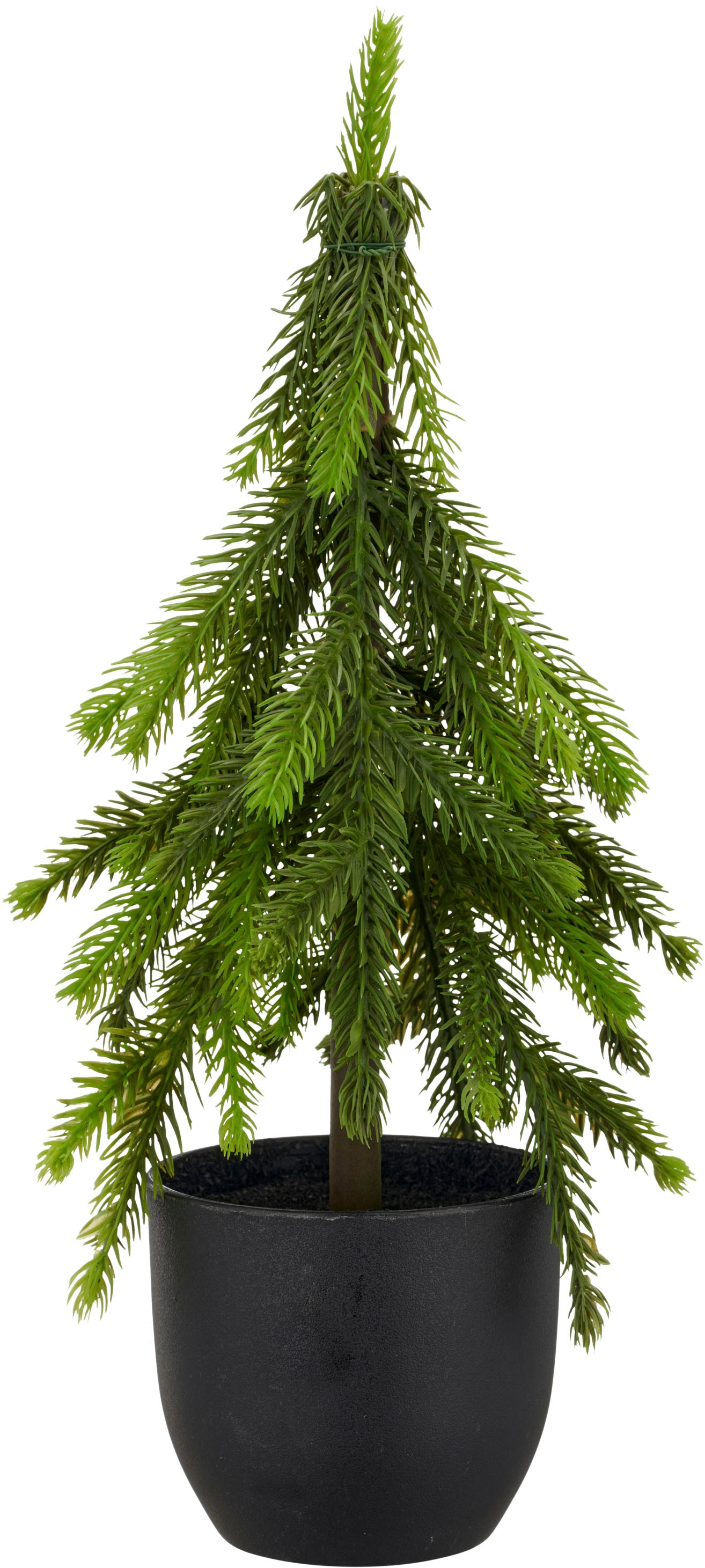 Creativ green Winterliche Kunstpflanze »Tannenbäumchen« im Set aus 2 Grössen