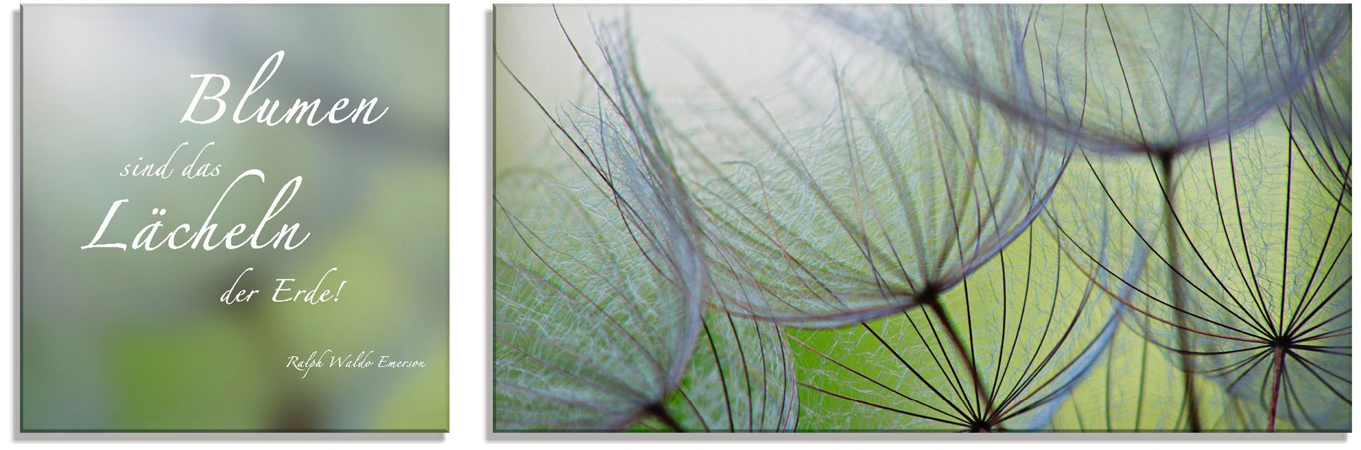 Artland Glasbild »Zitatenbild, Pusteblumen-Samen«, Sprüche & Texte, (2 St.), in verschiedenen Grössen