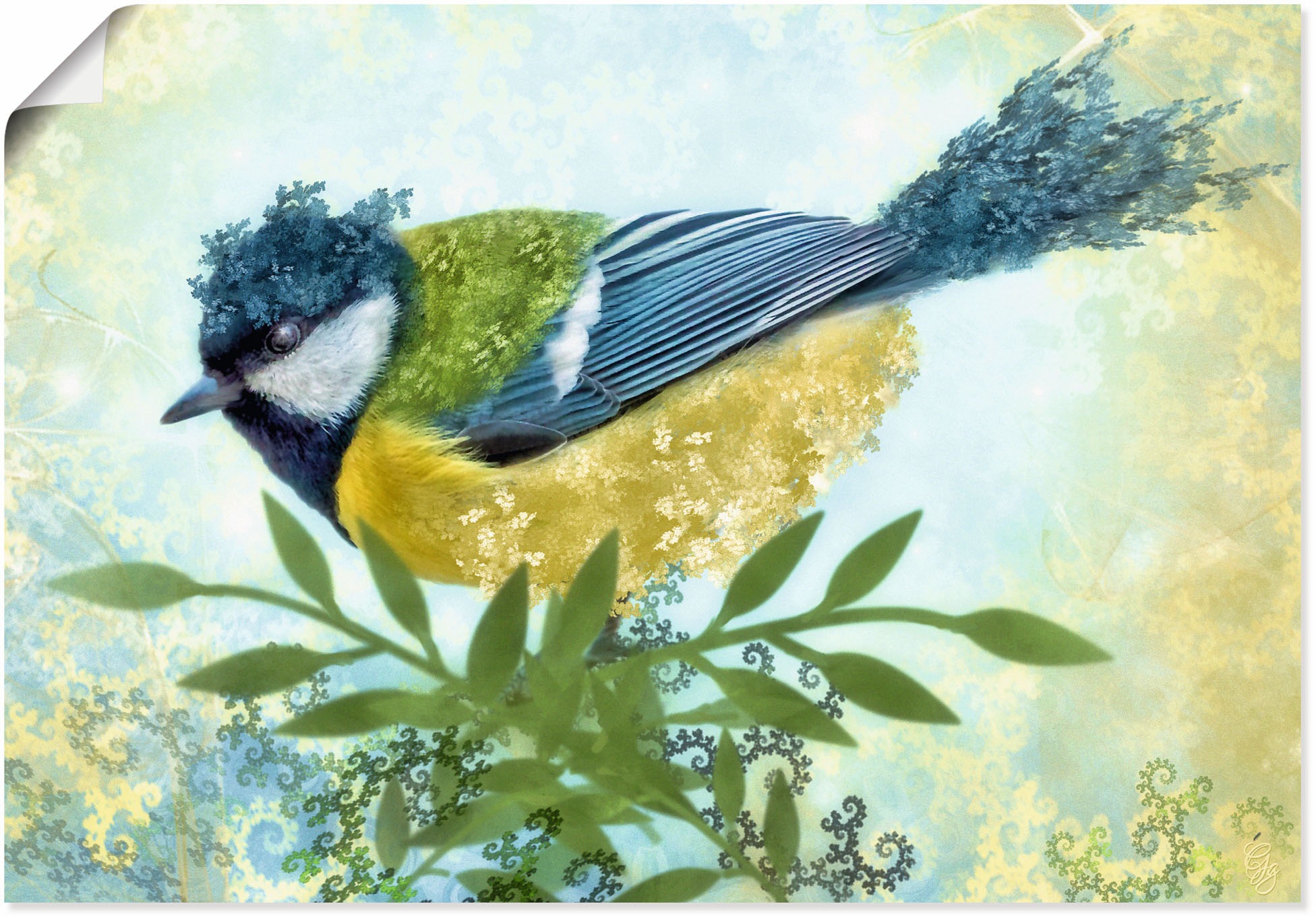 Image of Artland Wandbild »Meise«, Vogelbilder, (1 St.), in vielen Grössen & Produktarten - Alubild / Outdoorbild für den Aussenbereich, Leinwandbild, Poster, Wandaufkleber / Wandtattoo auch für Badezimmer geeignet bei Ackermann Versand Schweiz