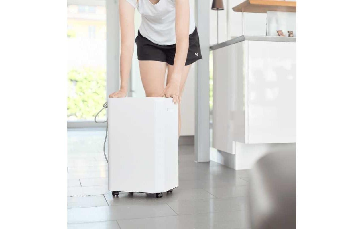 Luftentfeuchter »Ecofort ecoQ DryAir 20L Essential 50 m²«, für 50 m³ Räume, Tank 4,5 l