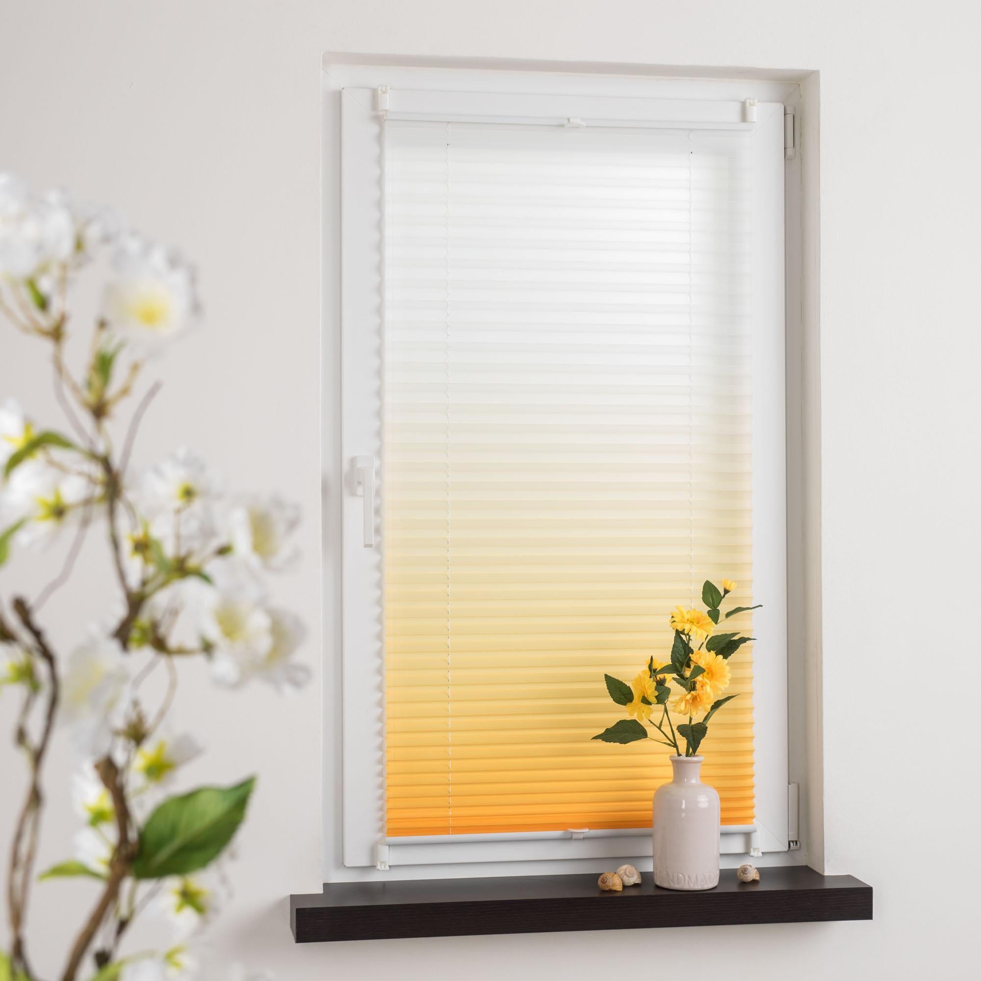 Liedeco Plissee »Farbverlauf« Lichtschutz ohne Bohren verspannt