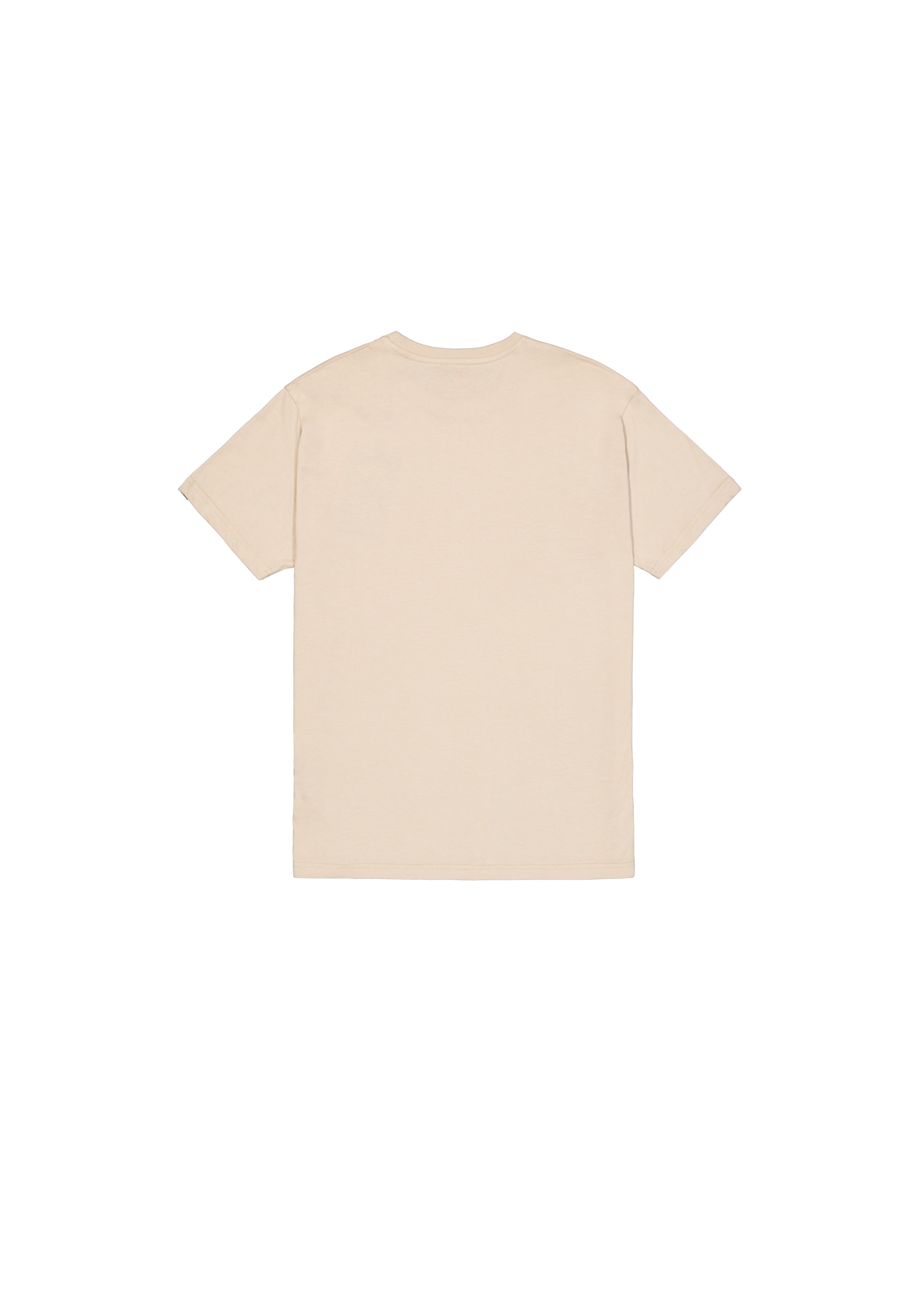 Alpha Industries T-shirt »Basic T-Shirt«