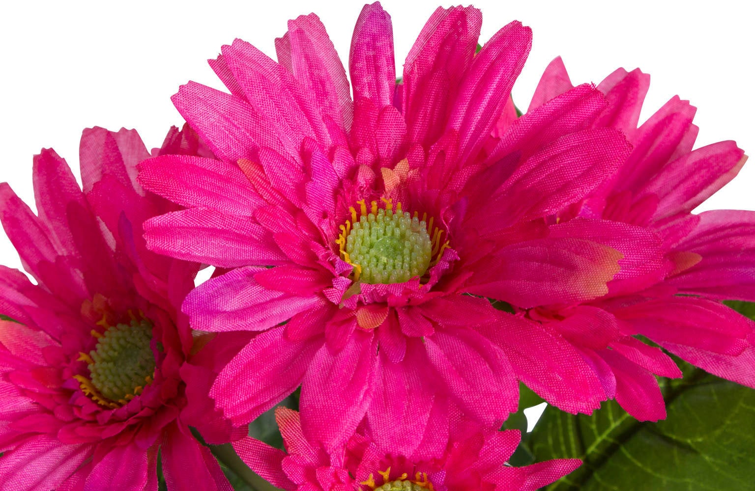 Botanic-Haus Kunstblume »Gerbera mit 5 Blüten« günstig kaufen