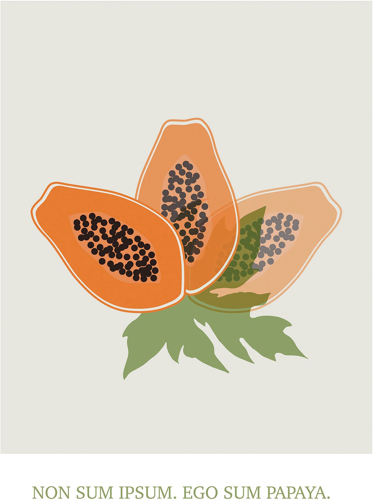 Image of Komar Wandbild »Cultivated Papaya«, (1 St.), Deutsches Premium-Poster Fotopapier mit seidenmatter Oberfläche und hoher Lichtbeständigkeit. Für fotorealistische Drucke mit gestochen scharfen Details und hervorragender Farbbrillanz. bei Ackermann Versand Sc