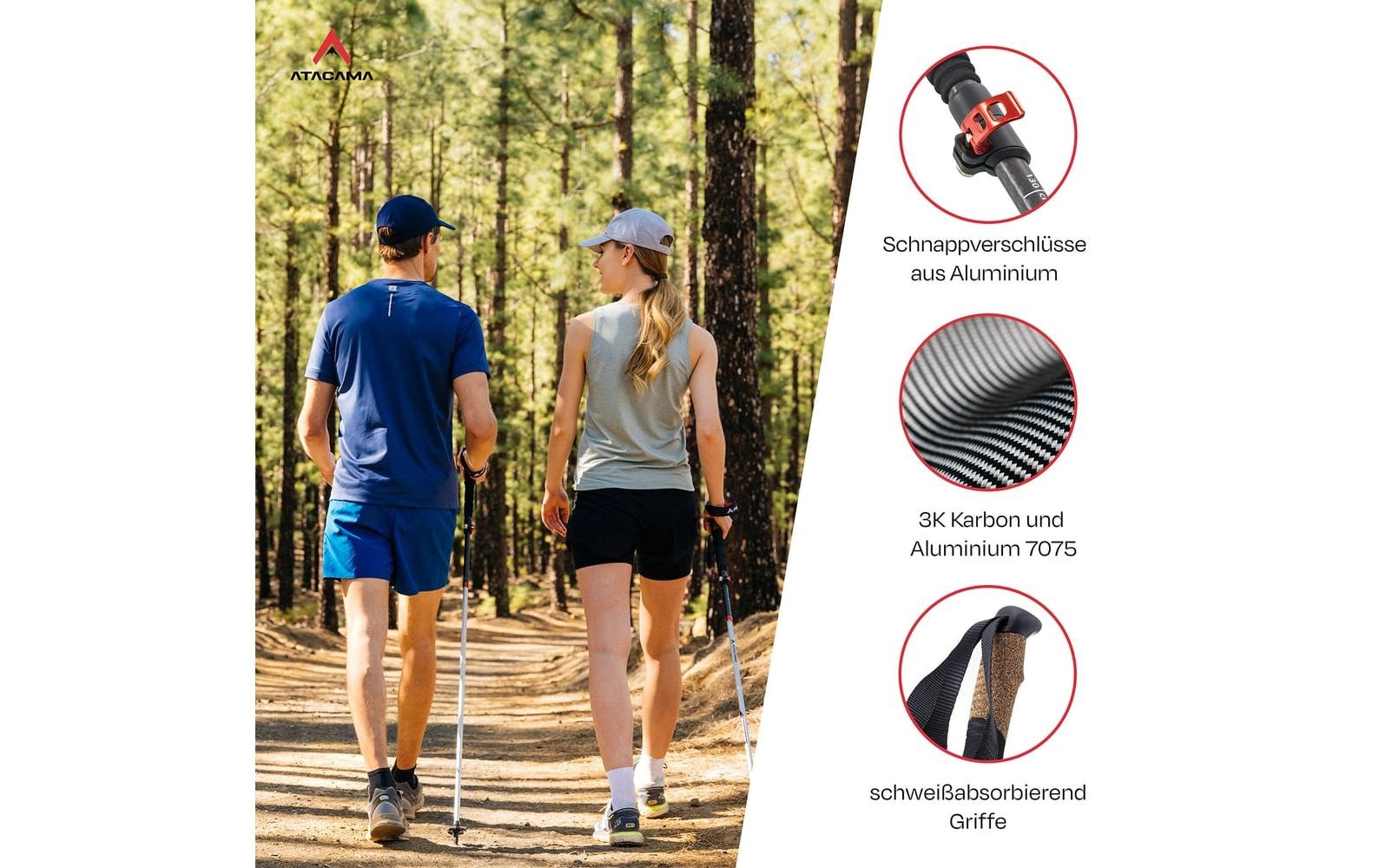   Bâtons de randonnée »Atacama Flip Lock 110-135 cm«