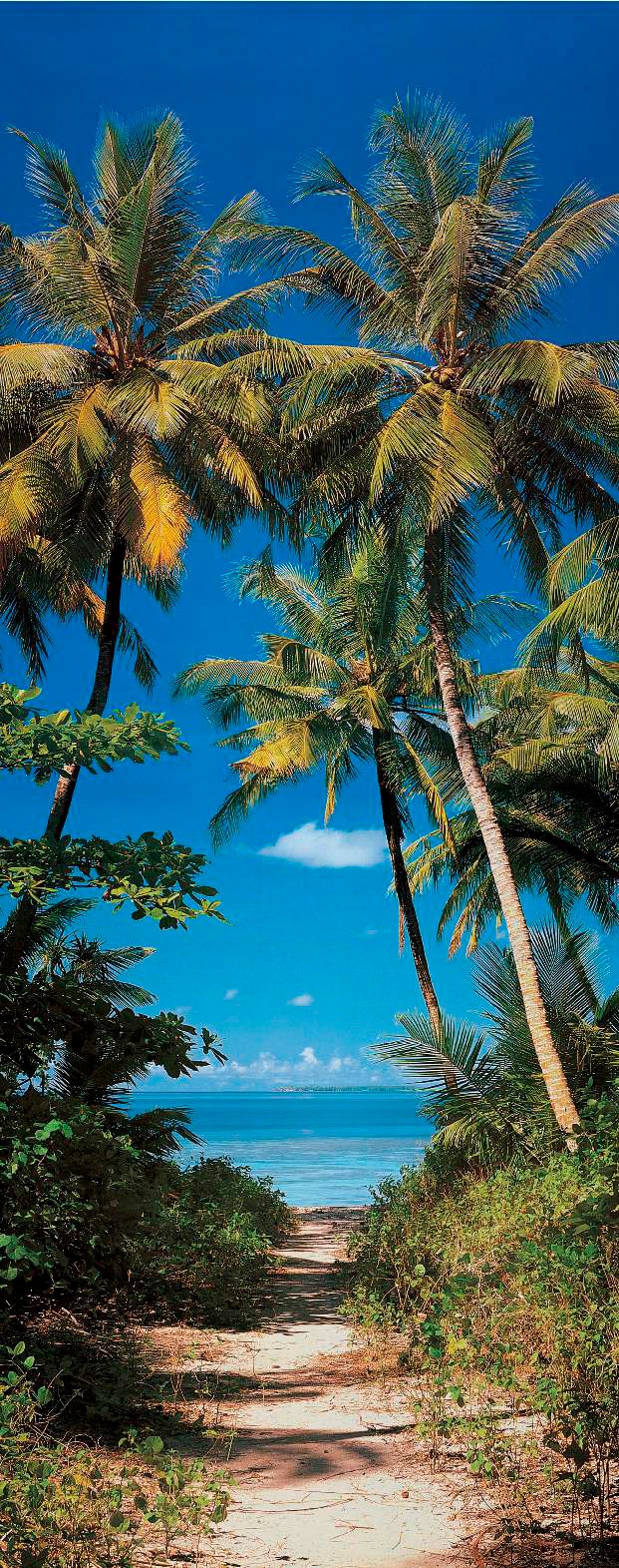 Image of Papermoon Fototapete »Beach Path - Türtapete«, matt, Vlies, 2 Bahnen, 90 x 200 cm bei Ackermann Versand Schweiz