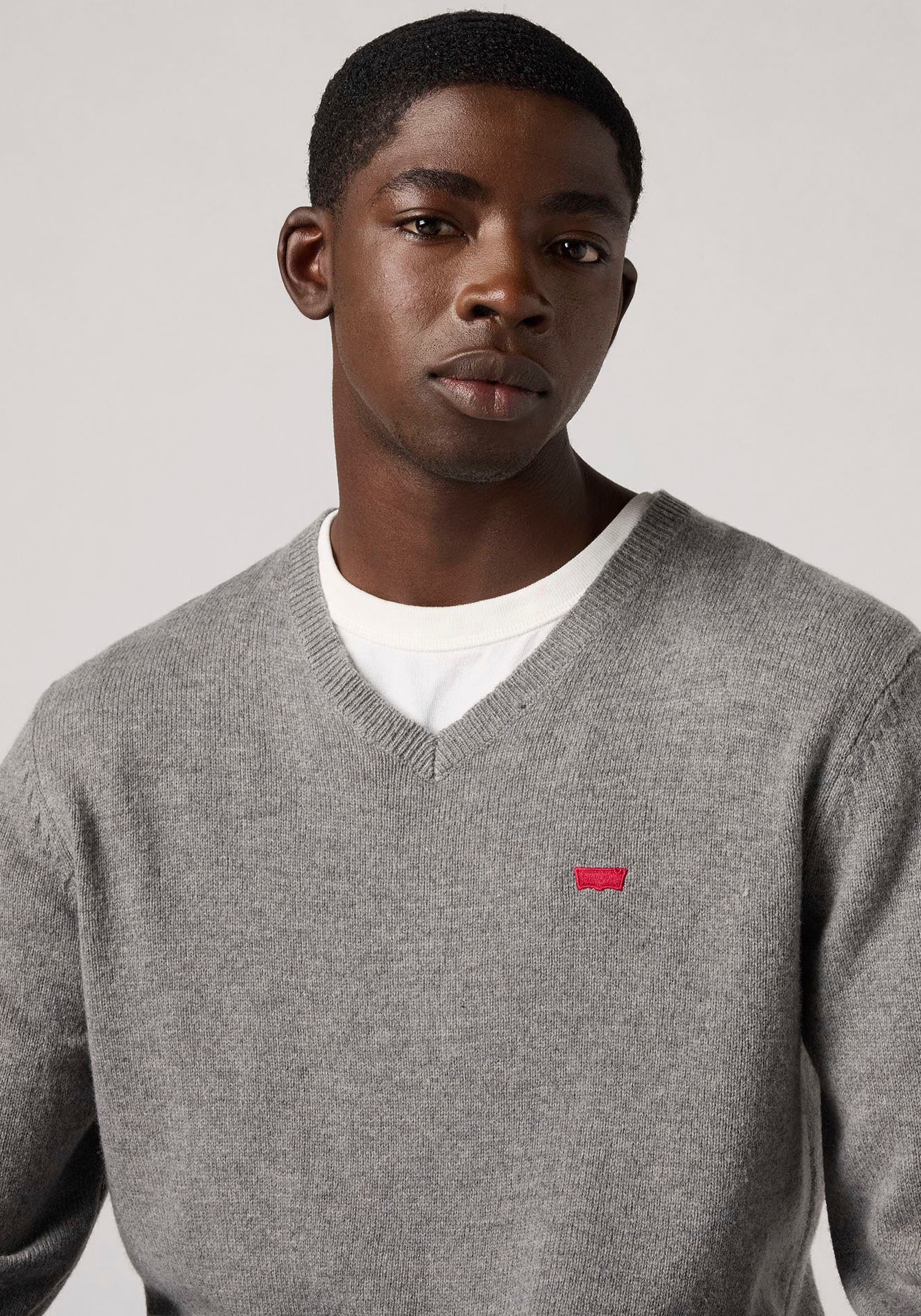 Levi's® V-Ausschnitt-Pullover
