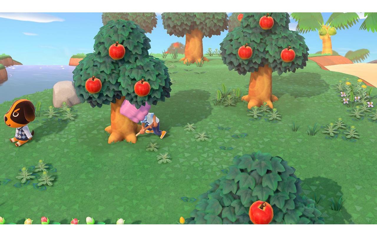 Nintendo Spielesoftware »Animal Crossing: New Horiz«, Nintendo Switch
